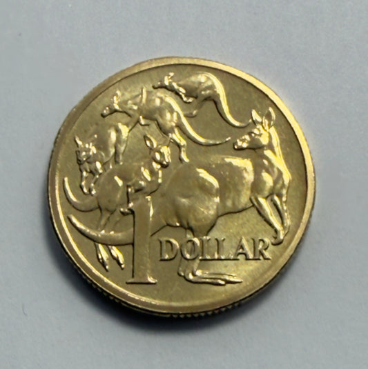 2007 $1 Coin - Uncirculated - Mob Of Roos - Mint Set Only Coin - Comes In 2x2