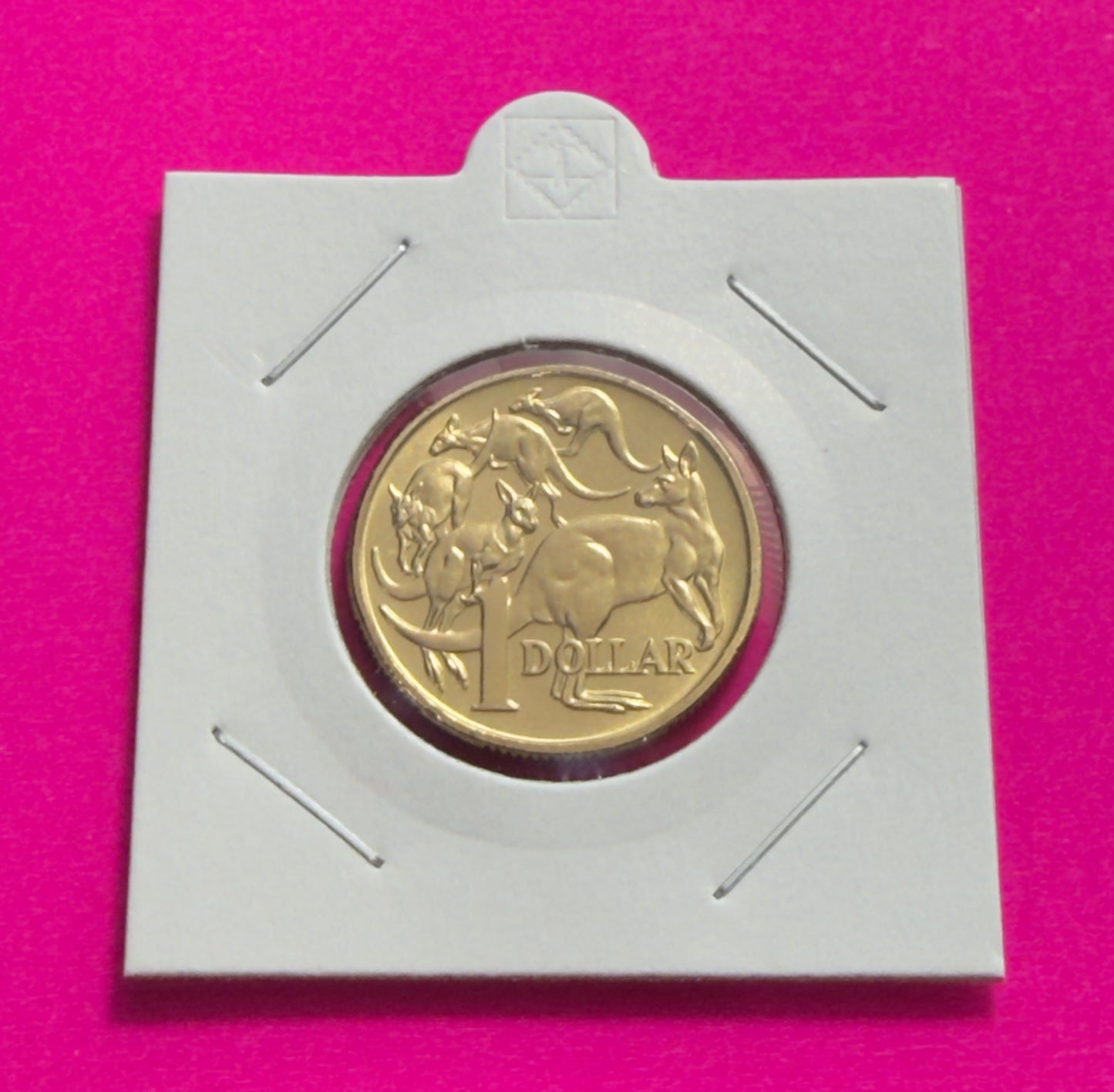2000 $1 - Mob Of Roos Coin - Choice Uncirculated - ex mint set coin - 2x2