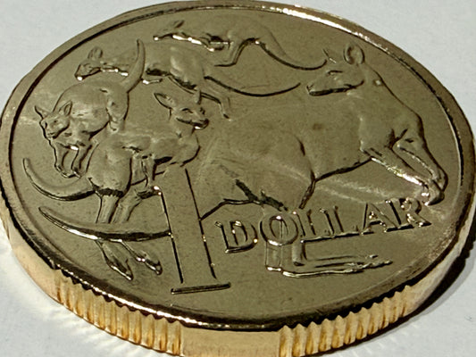 2025 $1 Mob of Roos Coin - Uncirculated - One Dollar - comes in 2x2