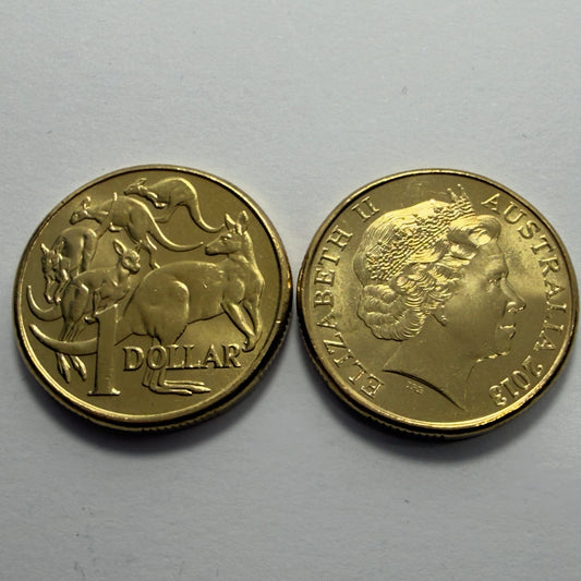 2013 $1 Coin - Uncirculated - Mob Of Roos - comes in 2x2