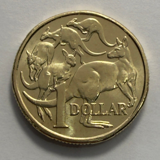 2019 $1 Coin - JC Effigy - Uncirculated - Mob of Roos - One Dollar - in 2x2