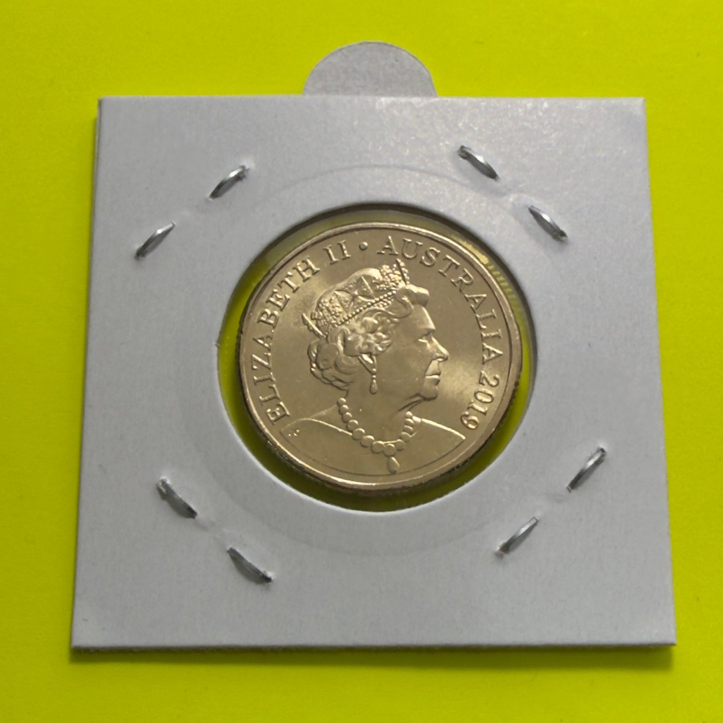 2019 $1 Coin - JC Effigy - Uncirculated - Mob of Roos - One Dollar - in 2x2