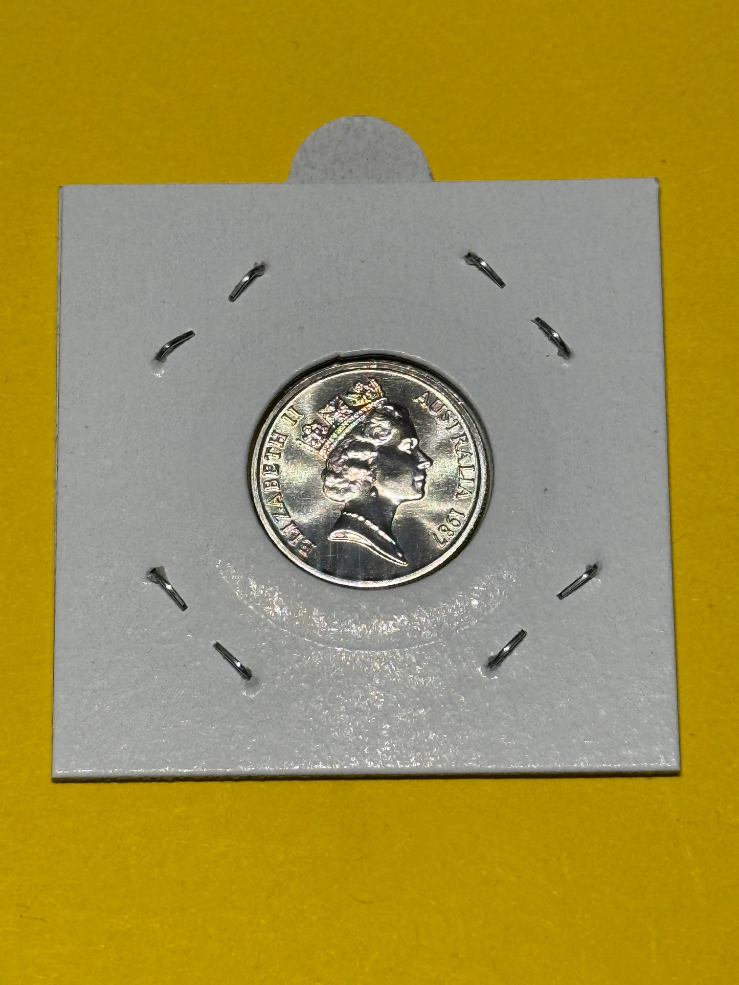 1987 5 Cent Coin - Uncirculated - Echidna - Five Cent - comes in 2x2 - New Age Numismatics