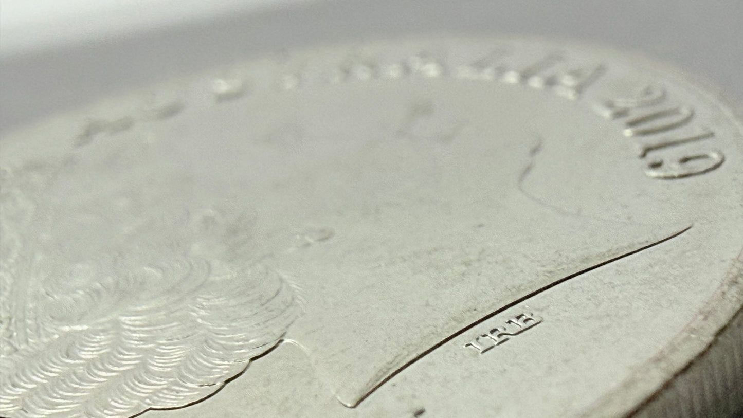 2019 IRB 20 Cent Coin - Uncirculated - 4th Effigy - comes in 2x2