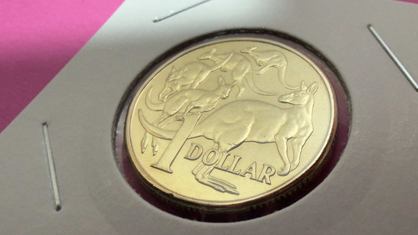 2017 $1 Mob of Roos Coin - Uncirculated - One Dollar - comes in 2x2