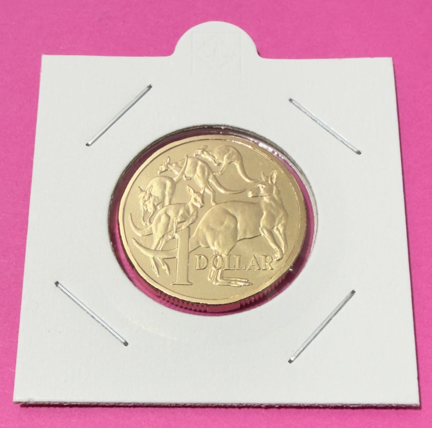 2026 $1 Mob Of 5 Roos - Choice Uncirculated - MINT SET ONLY COIN - Comes in 2x2