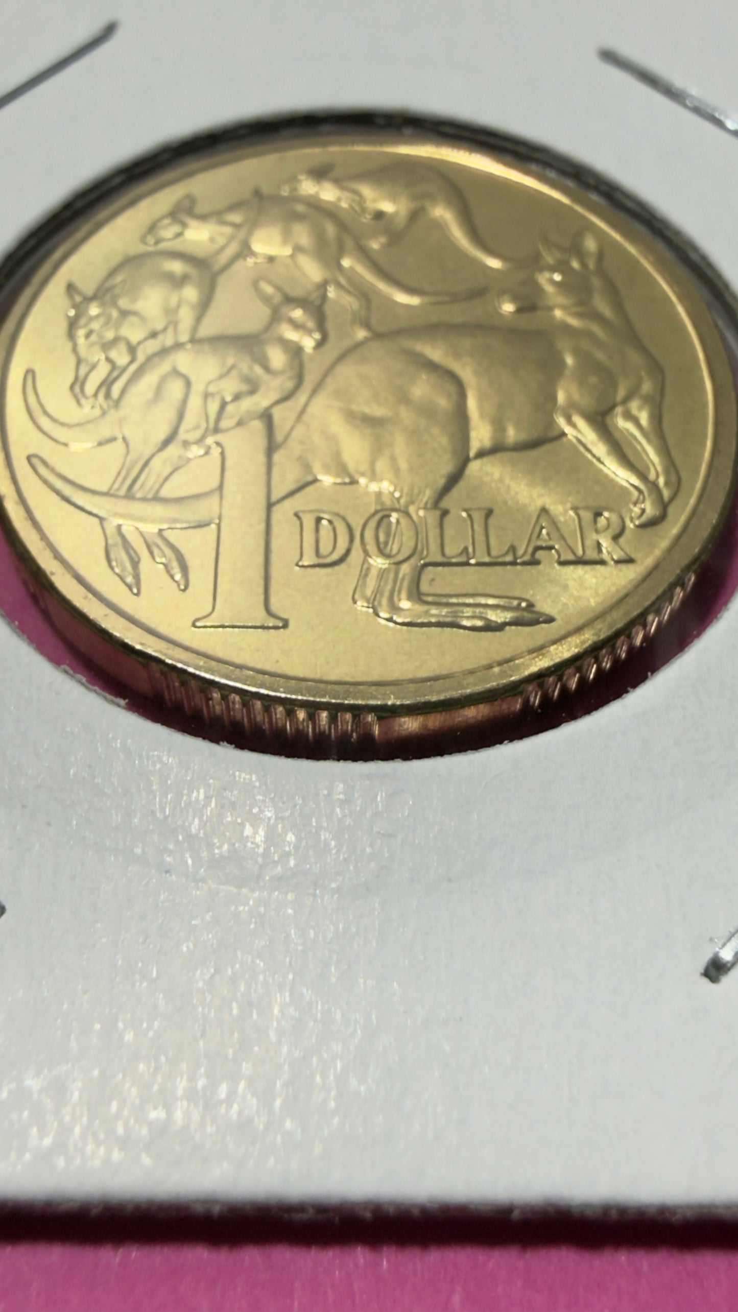 1989 $1 Coin - Mob Of Roos - Uncirculated - mint set ONLY - One Dollar - in 2x2