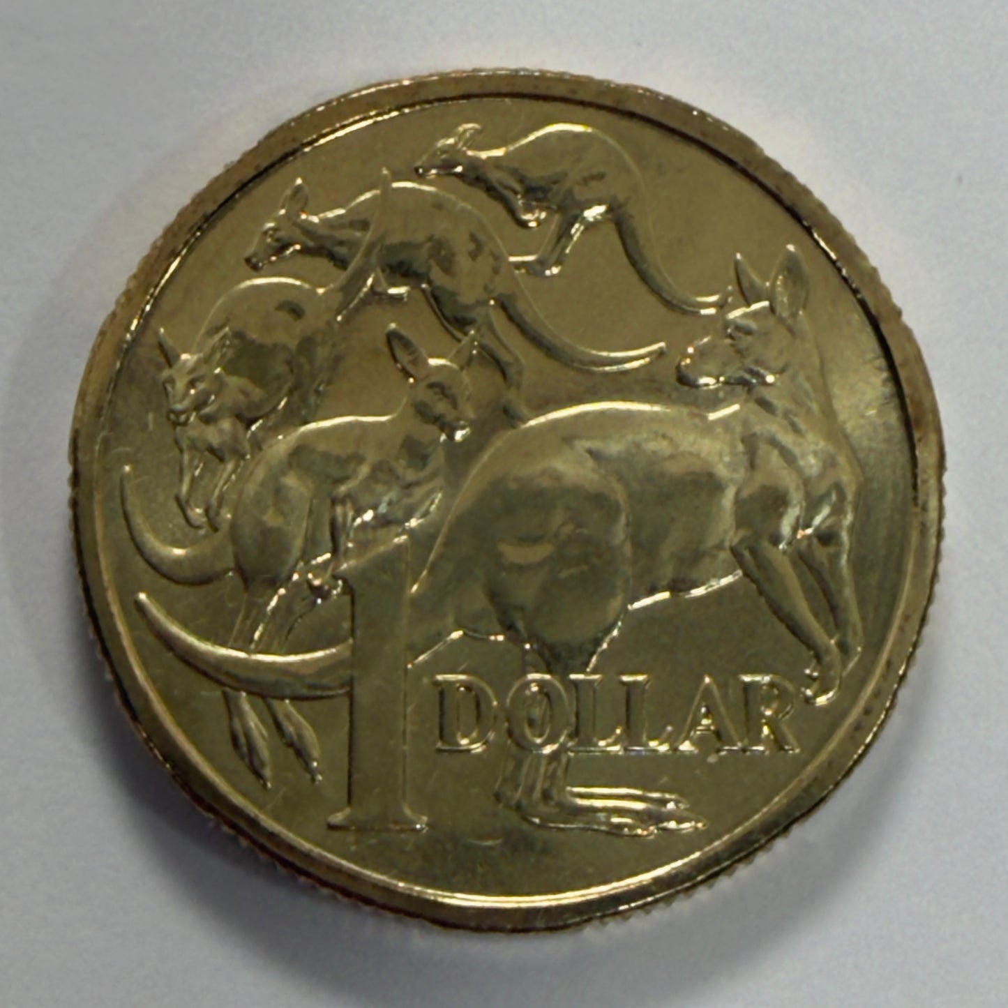 2024 $1 Coin - Uncirculated - One Dollar - ex premium roll - comes in 2x2
