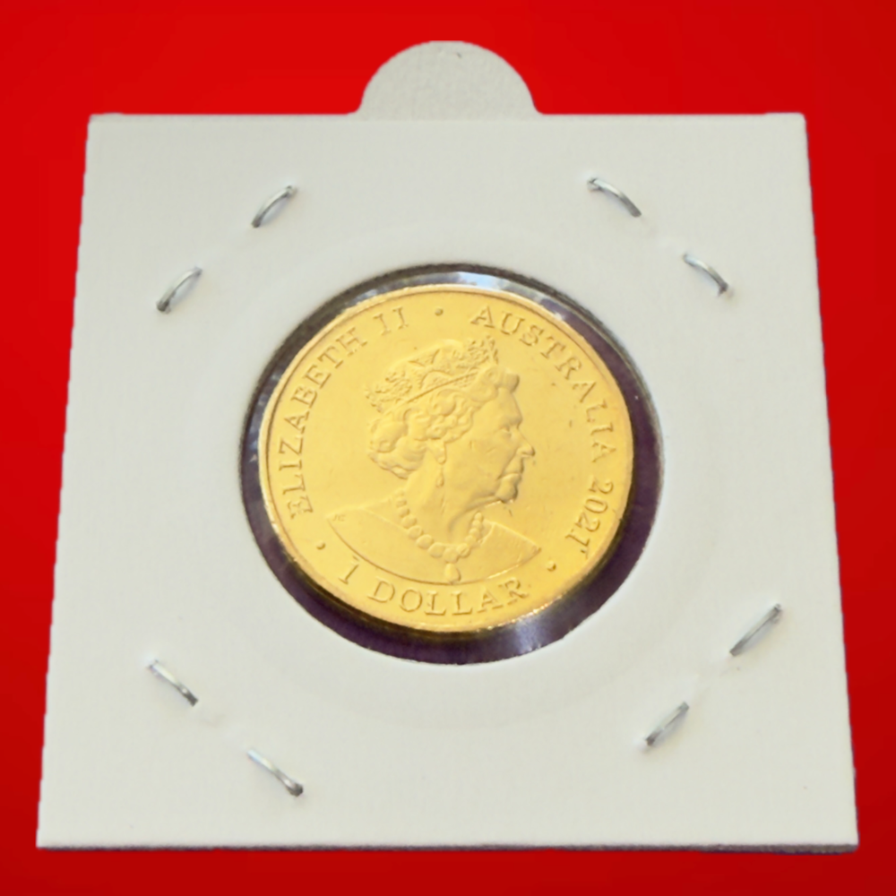 2021 One Dollar Coin - $1 Donation Dollar - Coloured $1 - comes in 2x2