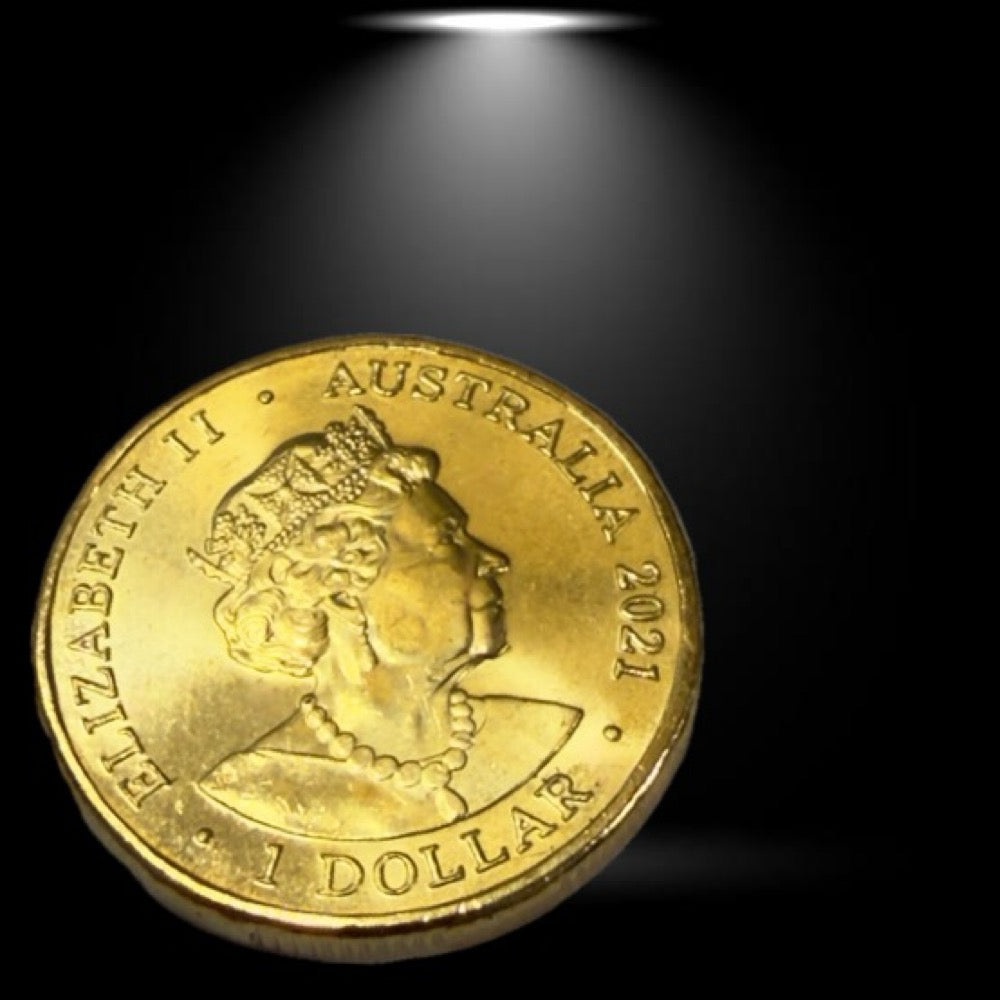 2021 One Dollar Coin - $1 Donation Dollar - Coloured $1 - comes in 2x2