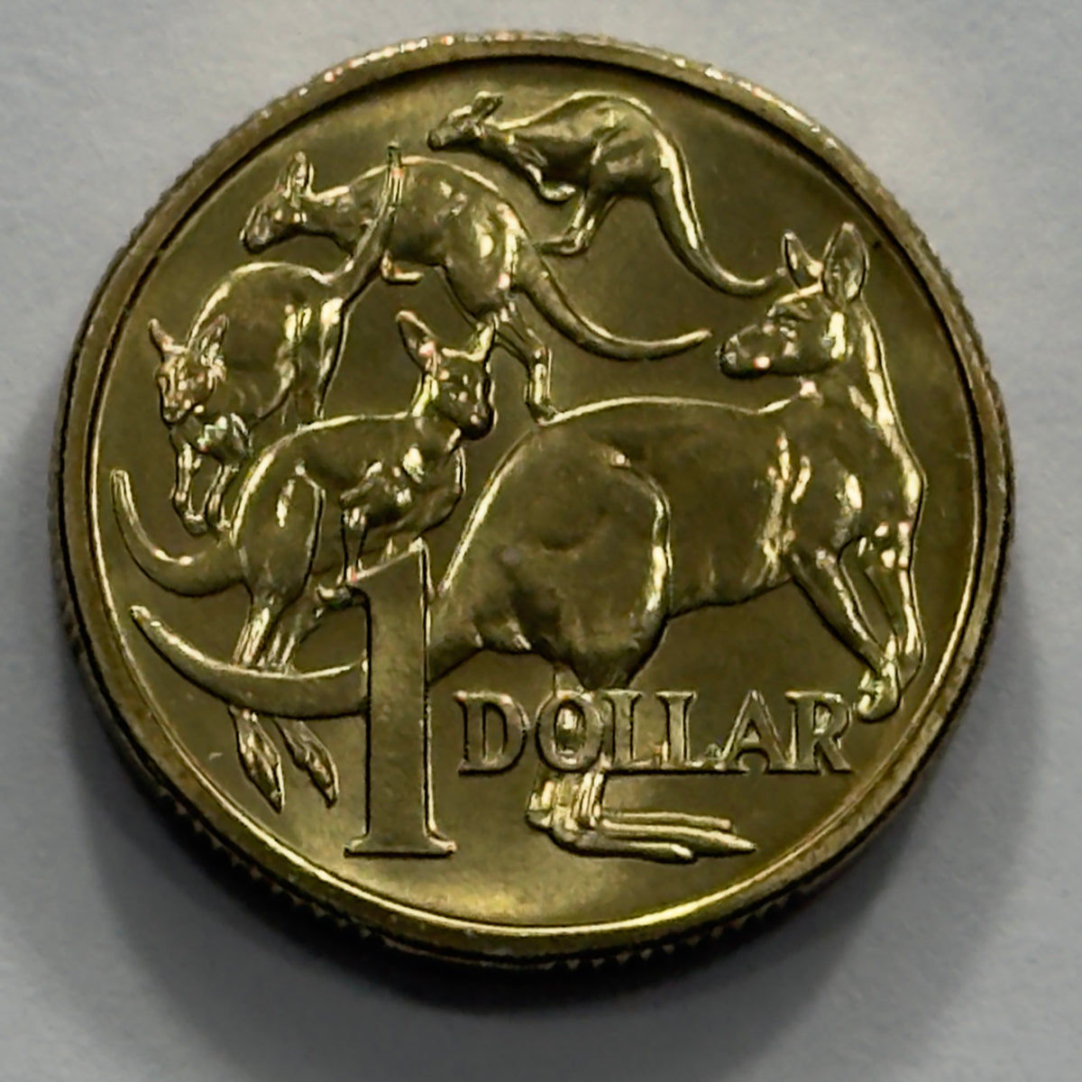 1994 $1 Coin - Mob of Roos - Uncirculated - Ex Mint Set coin - comes in 2x2