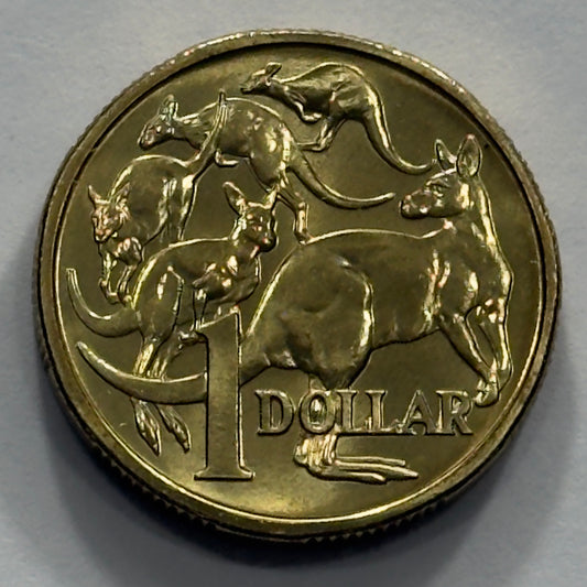 1994 $1 Coin - Mob of Roos - Uncirculated - Ex Mint Set coin - comes in 2x2