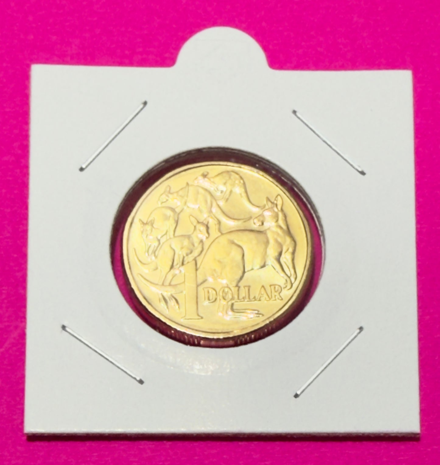2021 $1 Coin - Uncirculated - Mob Of Roos - Ex Ram Bag - 160k Mintage - In 2x2