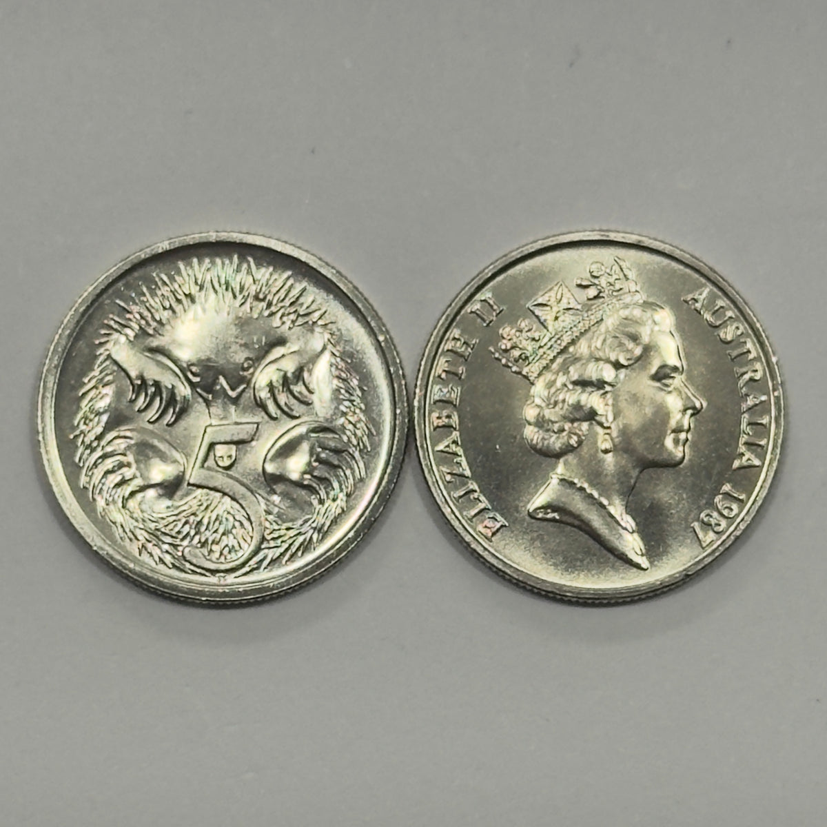 1987 5 Cent Coin - Uncirculated - 5c  Echidna - Five Cent - comes in 2x2