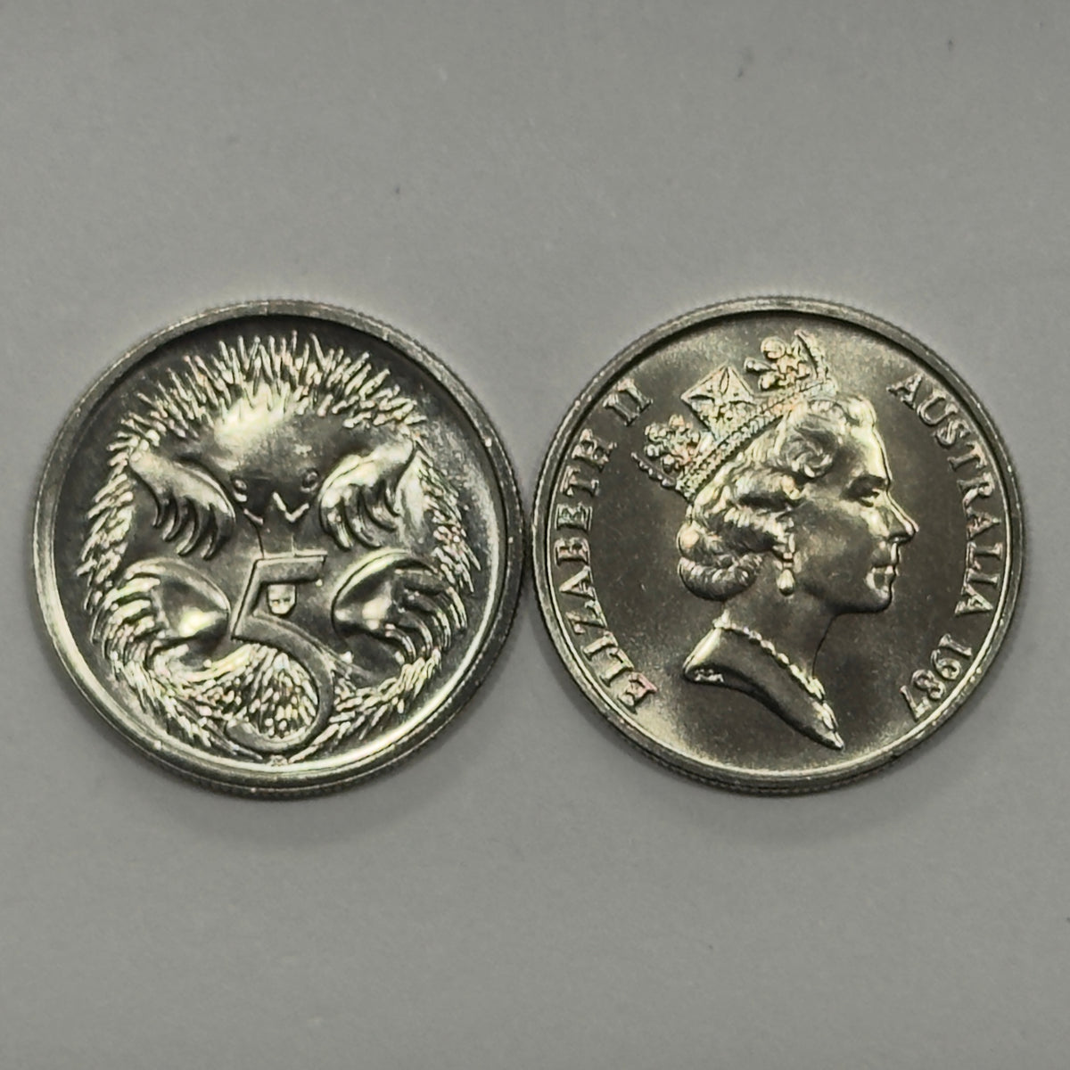 1987 5 Cent Coin - Uncirculated - 5c  Echidna - Five Cent - comes in 2x2