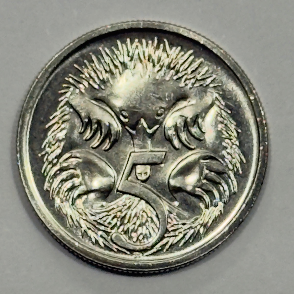 1987 5 Cent Coin - Uncirculated - 5c  Echidna - Five Cent - comes in 2x2