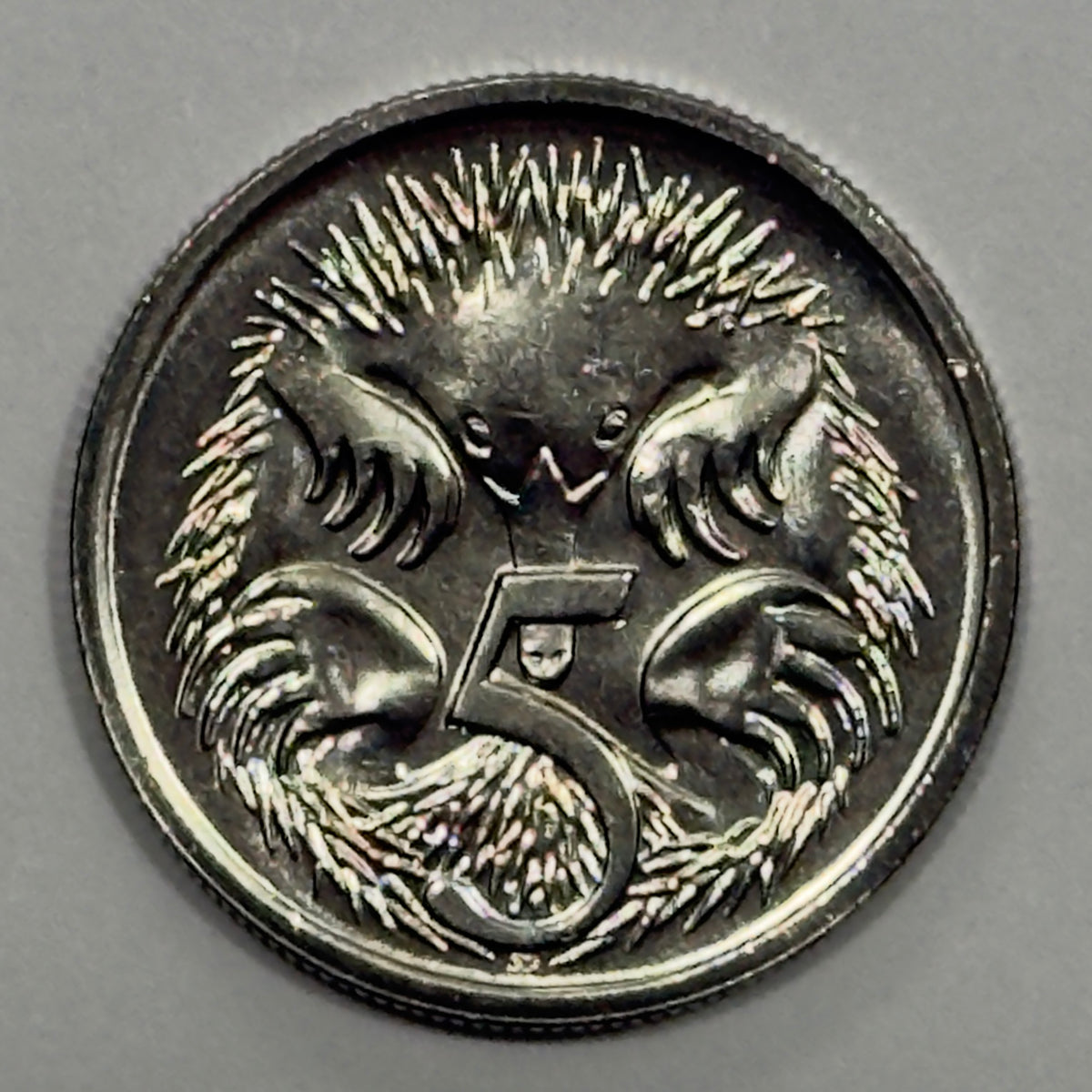 1987 5 Cent Coin - Uncirculated - 5c  Echidna - Five Cent - comes in 2x2