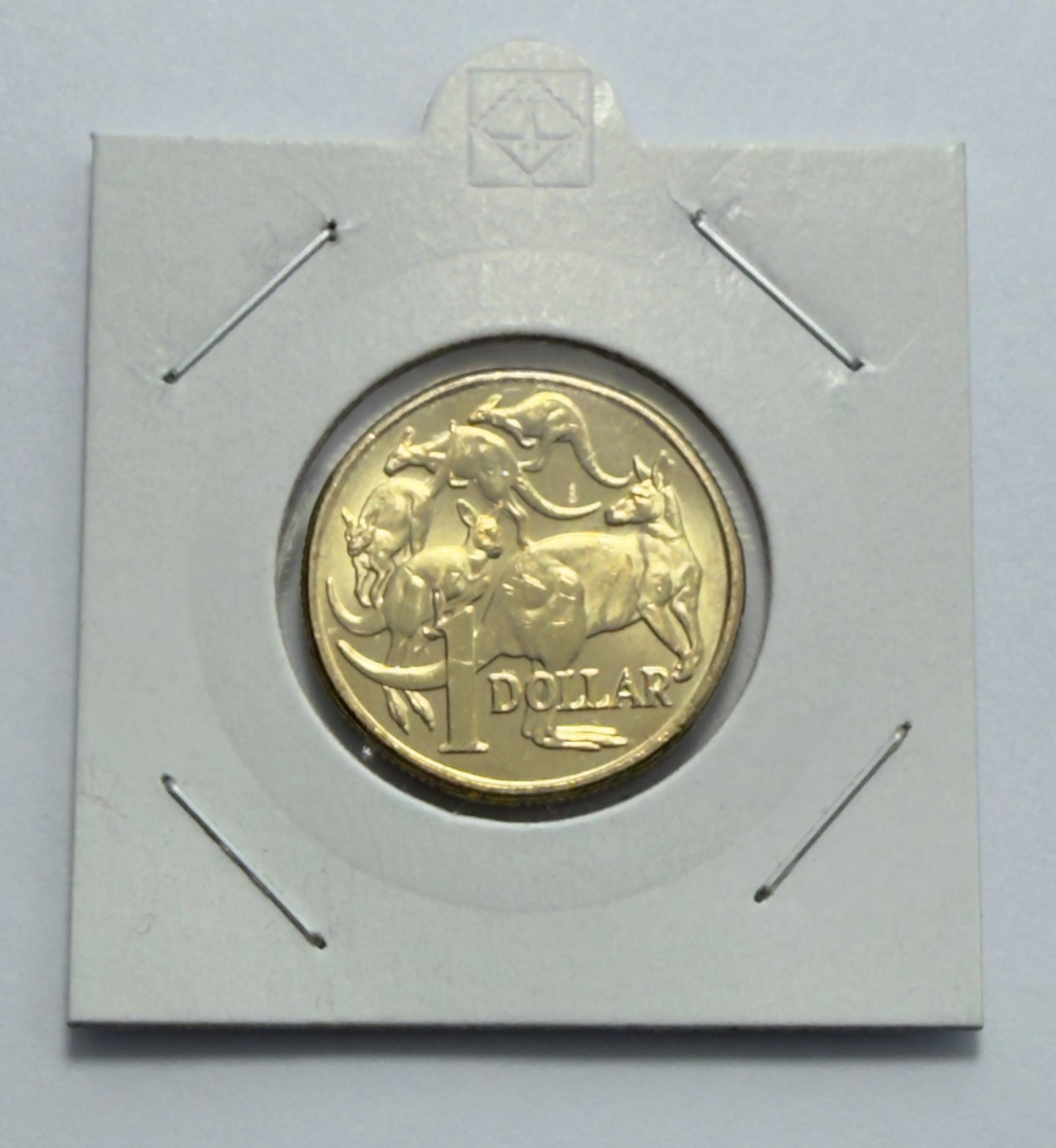 2020 $1 Coin - Uncirculated - Mob Of Roos - One Dollar - comes in 2x2