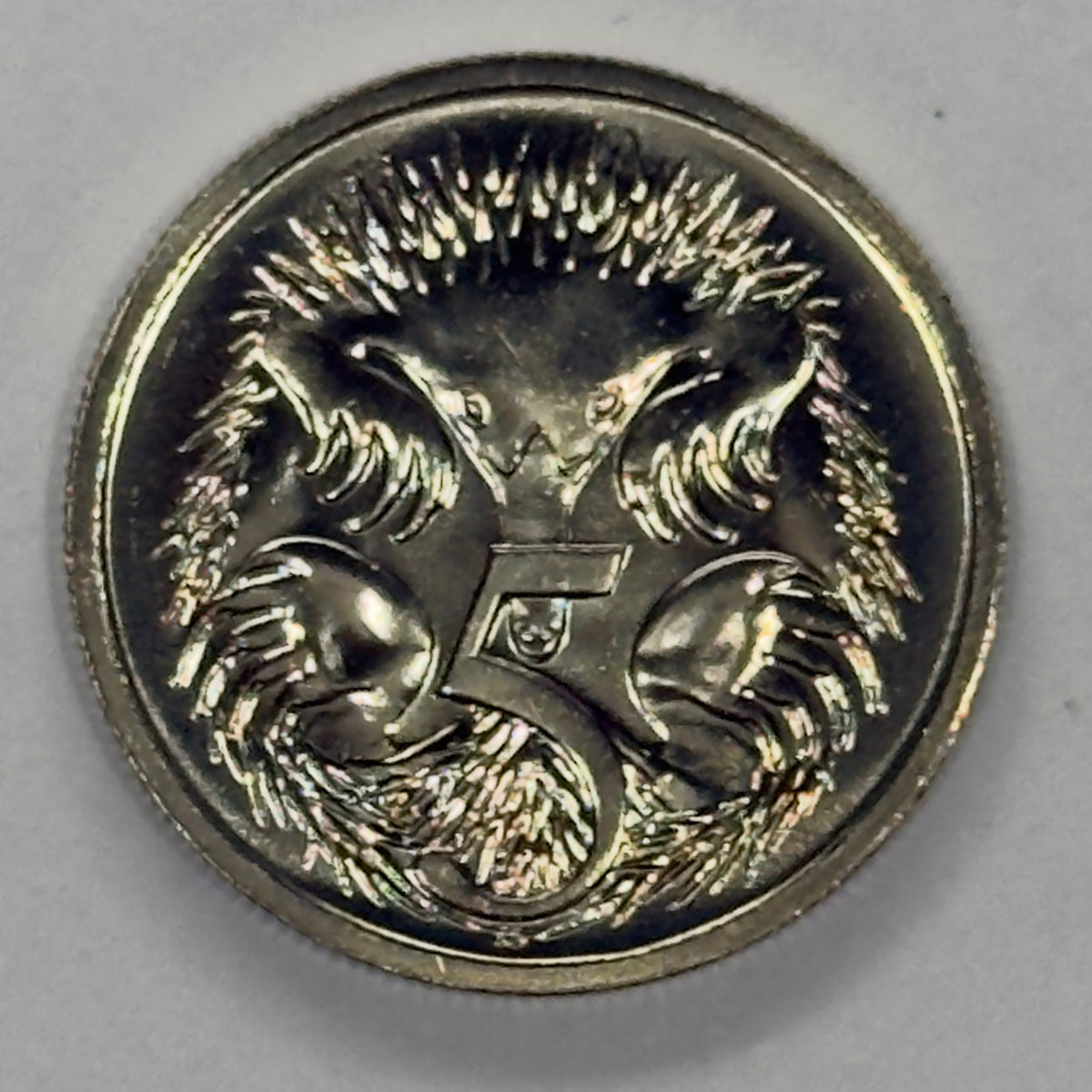 1988 5 Cent Coin - Choice Uncirculated 5c - Five Cent - Ex Mint Set - in 2x2