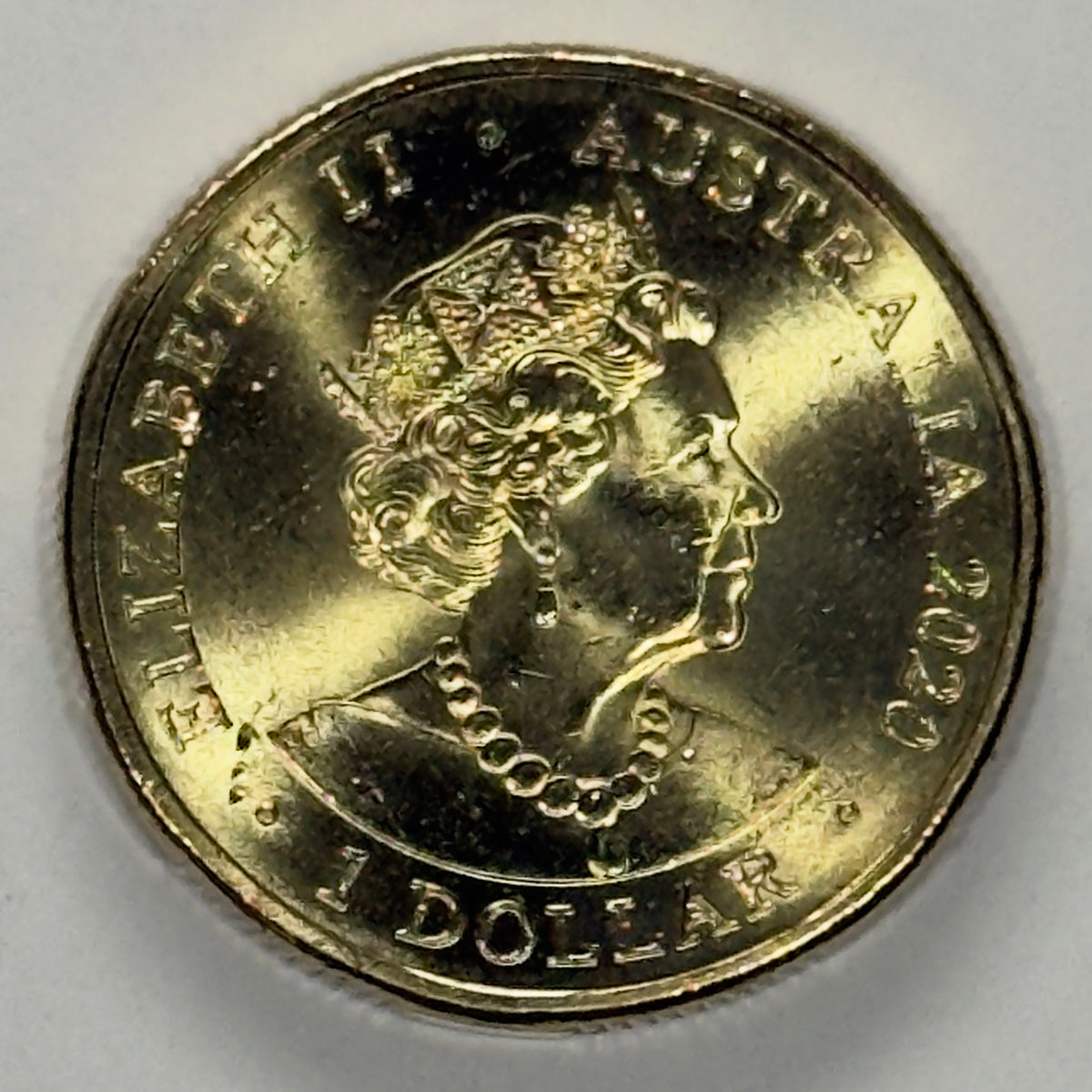 2020 $1 Coin - Donation Dollar - Uncirculated - One Dollar - comes in 2x2