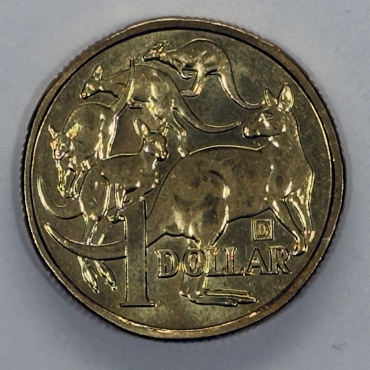 2023 $! Mob Of Roos - Uncirculated - D Privy - Memorial Obverse - comes in 2x2