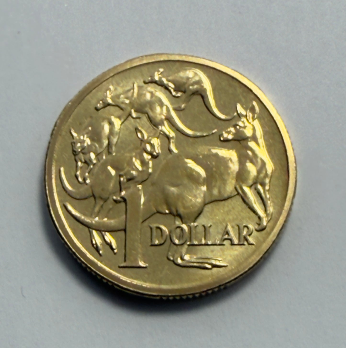 2007 $1 Coin - Uncirculated - Mob Of Roos - Mint Set Only Coin - Comes In 2x2