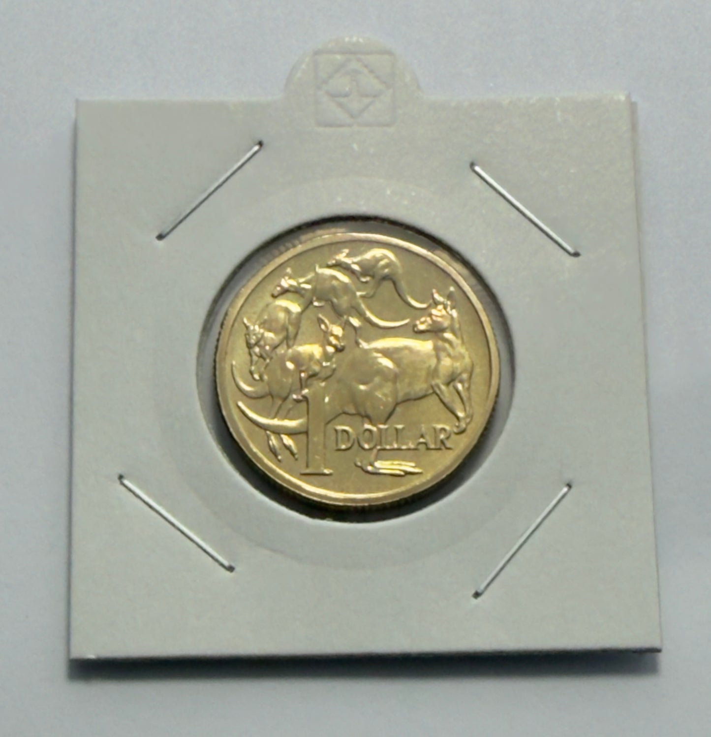 2007 $1 Coin - Uncirculated - Mob Of Roos - Mint Set Only Coin - Comes In 2x2