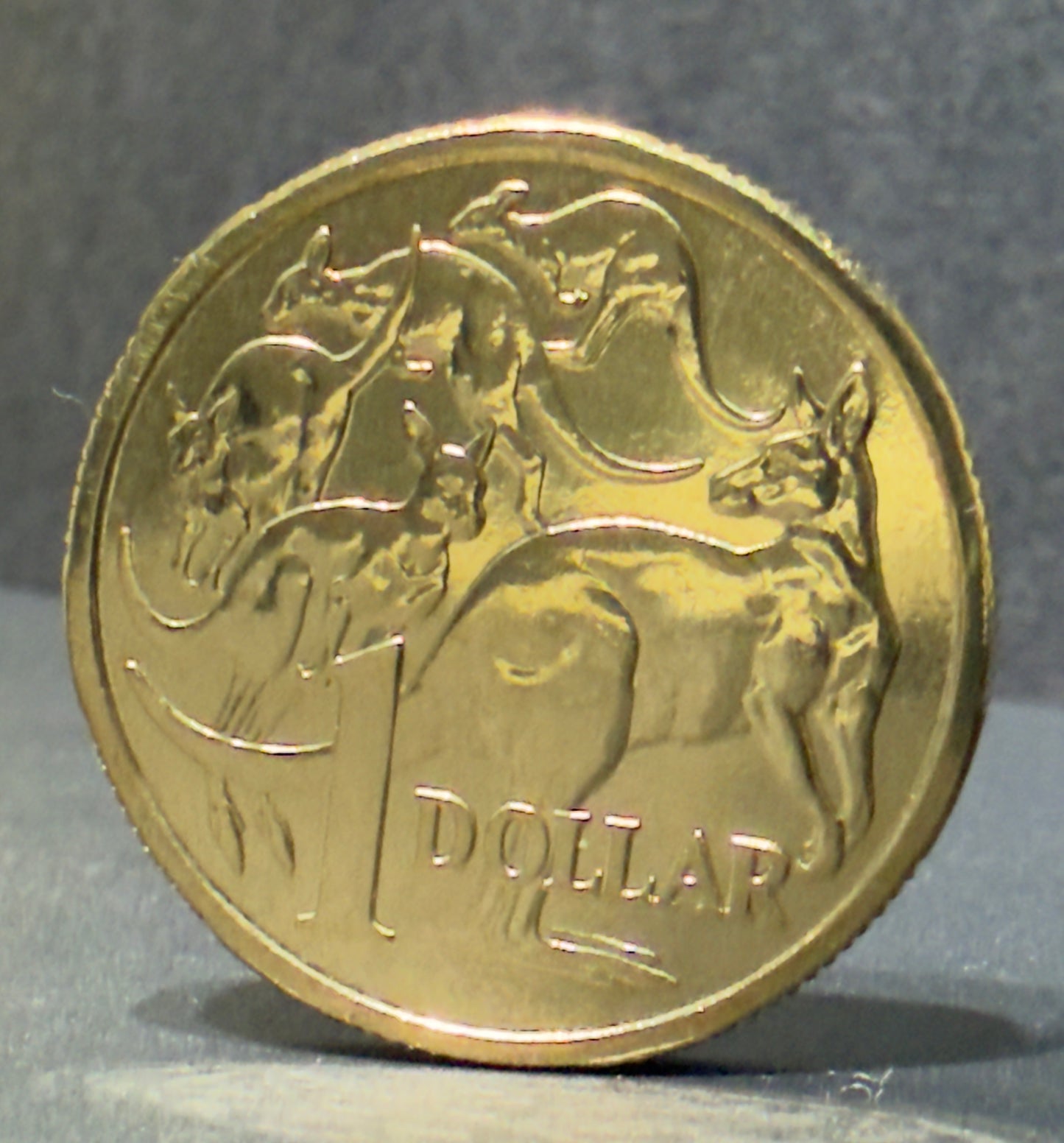 2019 $1 Coin 5th Effigy - V Gottwald - Uncirculated - Only 14,736 Made - in 2x2