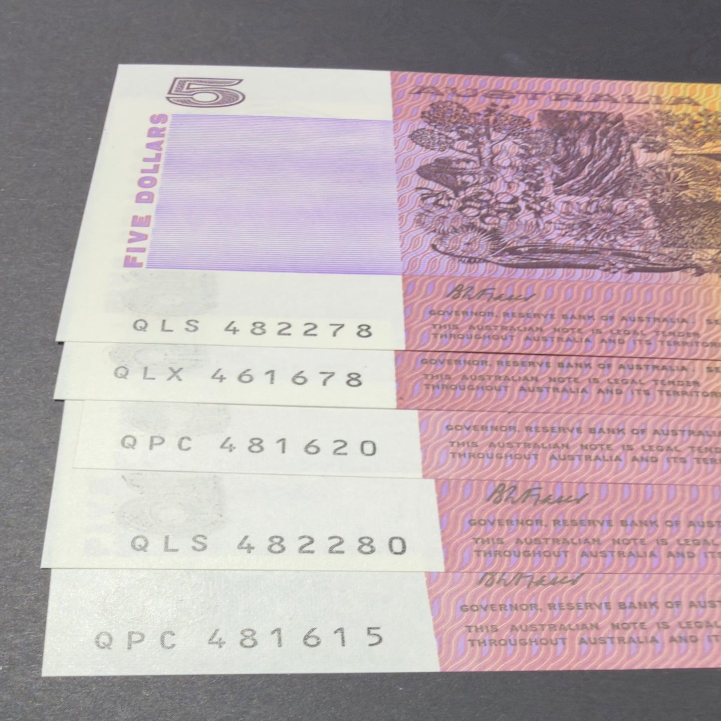 1991 $5 Fraser Cole CFU R213 Uncirculated in Note Protector Sleeve