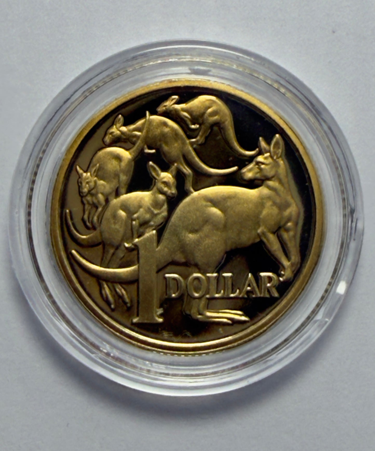 2012 $1 Proof Coin - Mob Of Roos $1 - in Lighthouse Capsule