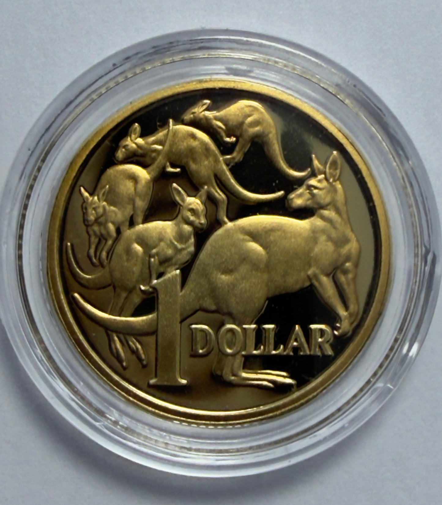 2012 $1 Proof Coin - Mob Of Roos $1 - in Lighthouse Capsule