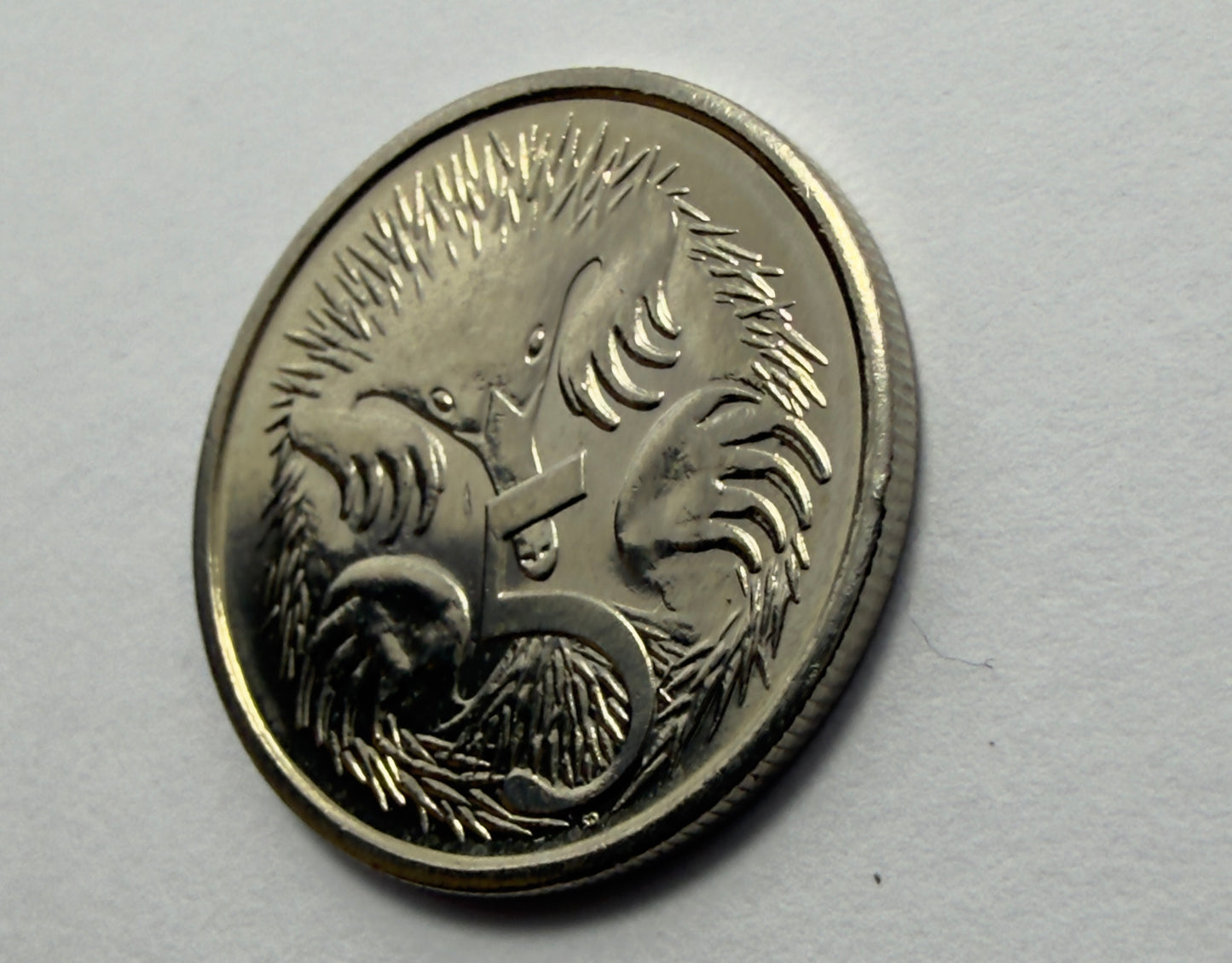 2014 5 Cent Coin - Uncirculated - Five Cent Echidna - comes in 2x2