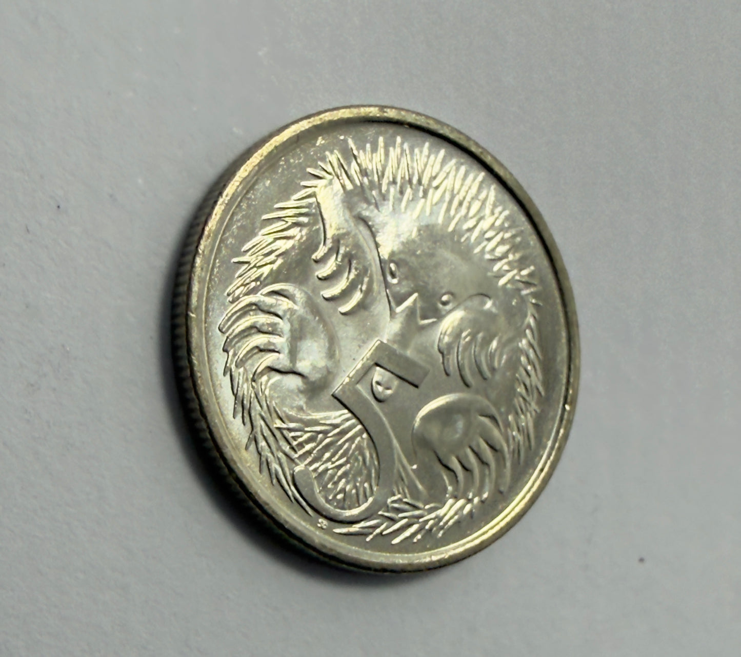 2015 5 Cent Coin - Uncirculated - Five Cent Echidna - comes in 2x2