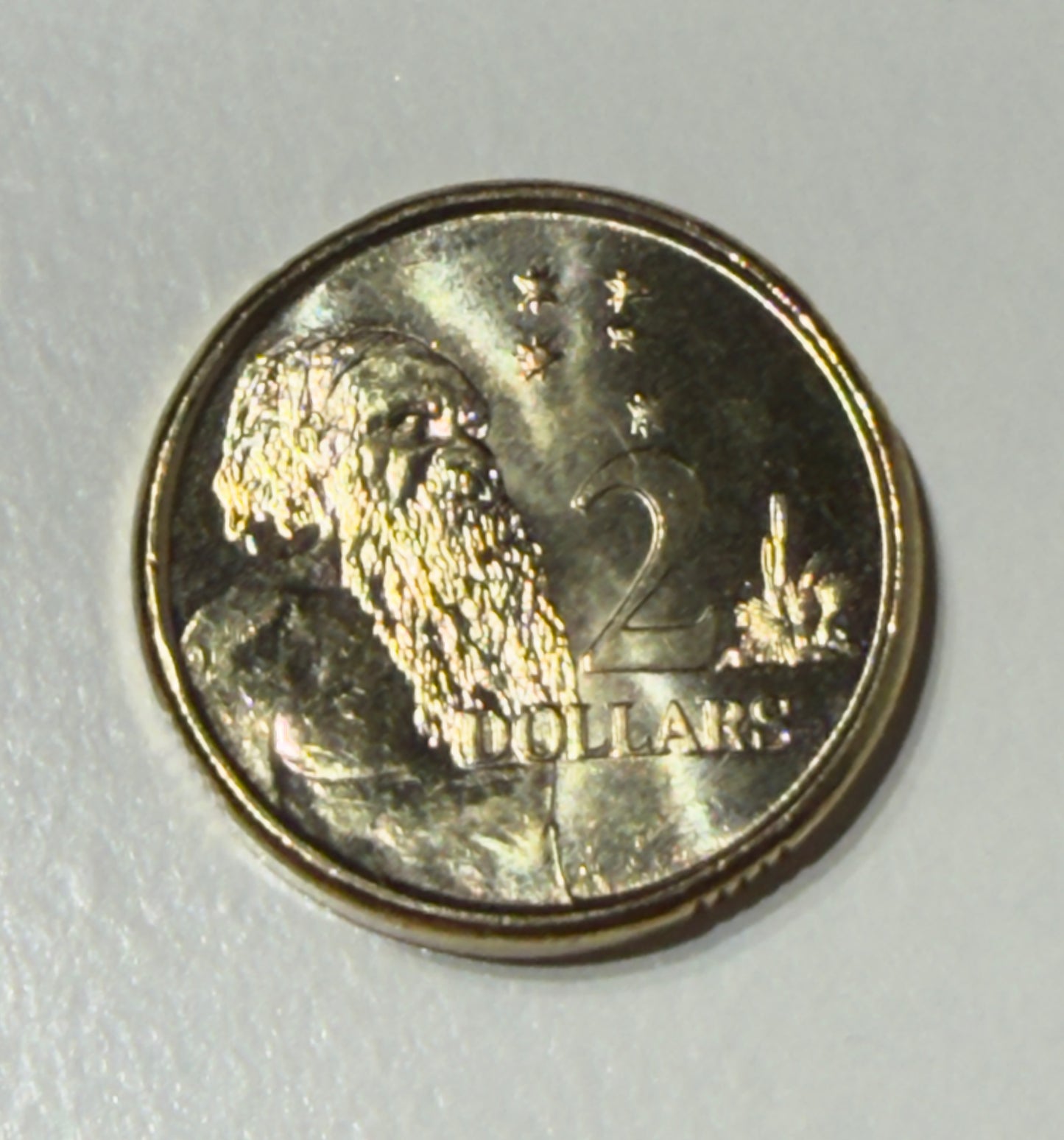 2022 $2 Elder Coin - Uncirculated - Two Dollar - comes in 2x2