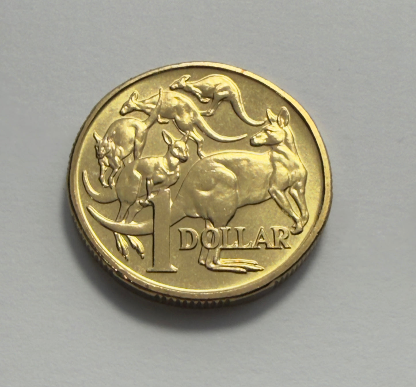 2000 $1 - Mob Of Roos Coin - Choice Uncirculated - ex mint set coin - 2x2