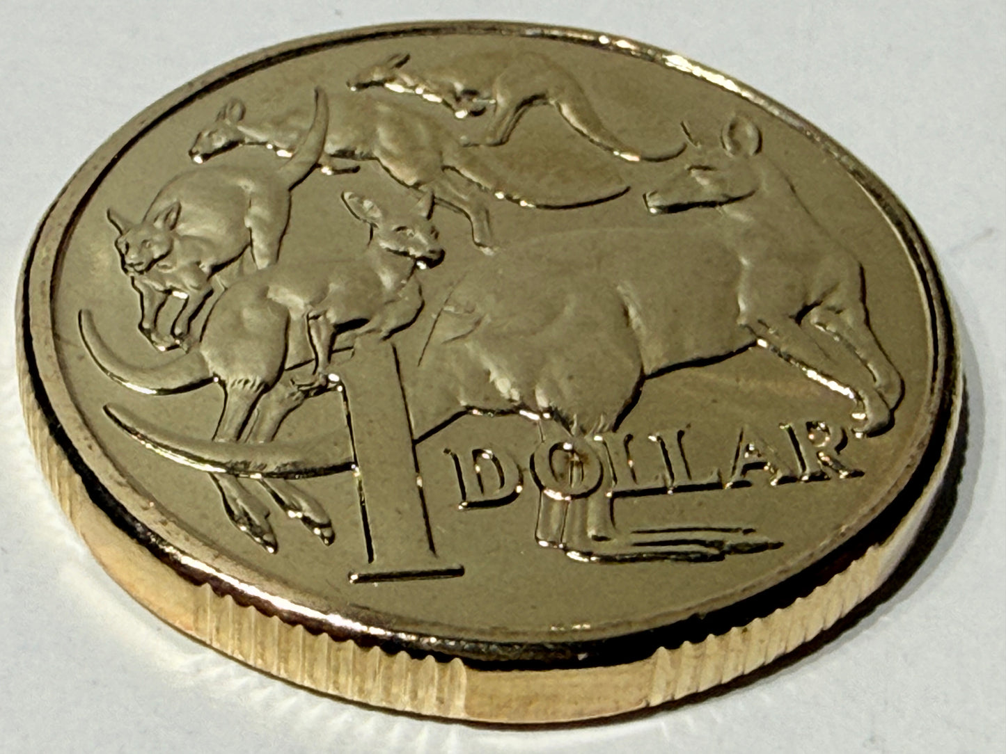 2022 $1 Mob of Roos Coin - Uncirculated One Dollar - comes in 2x2