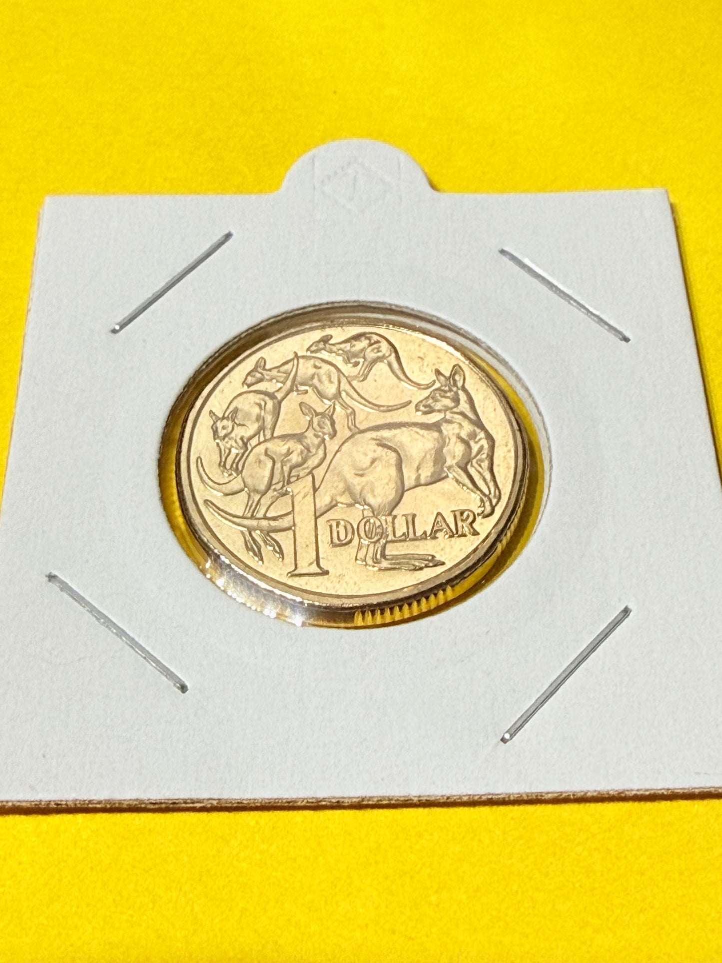 2022 $1 Mob of Roos Coin - Uncirculated One Dollar - comes in 2x2