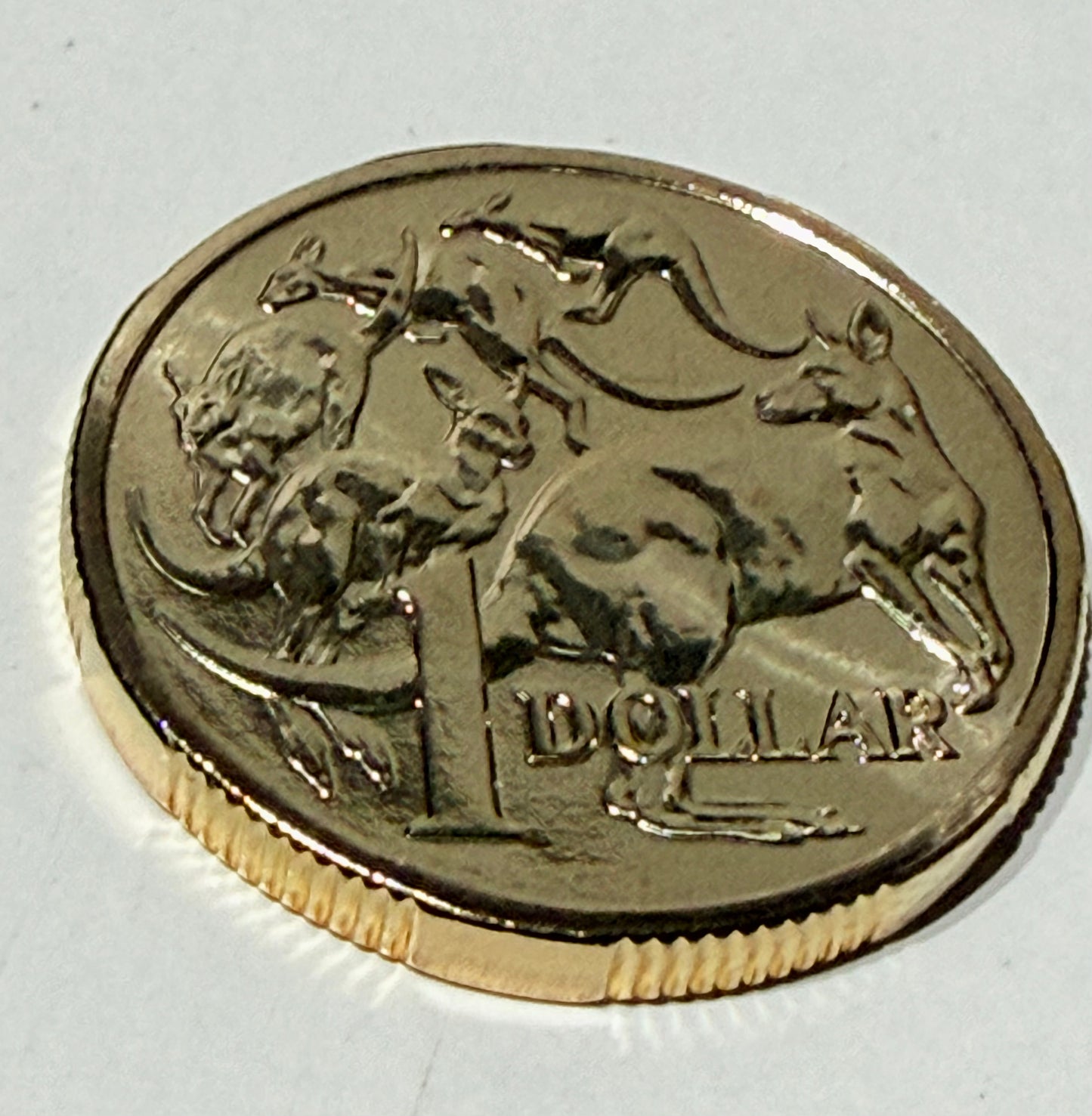 2025 $1 Mob of Roos Coin - Uncirculated - One Dollar - comes in 2x2