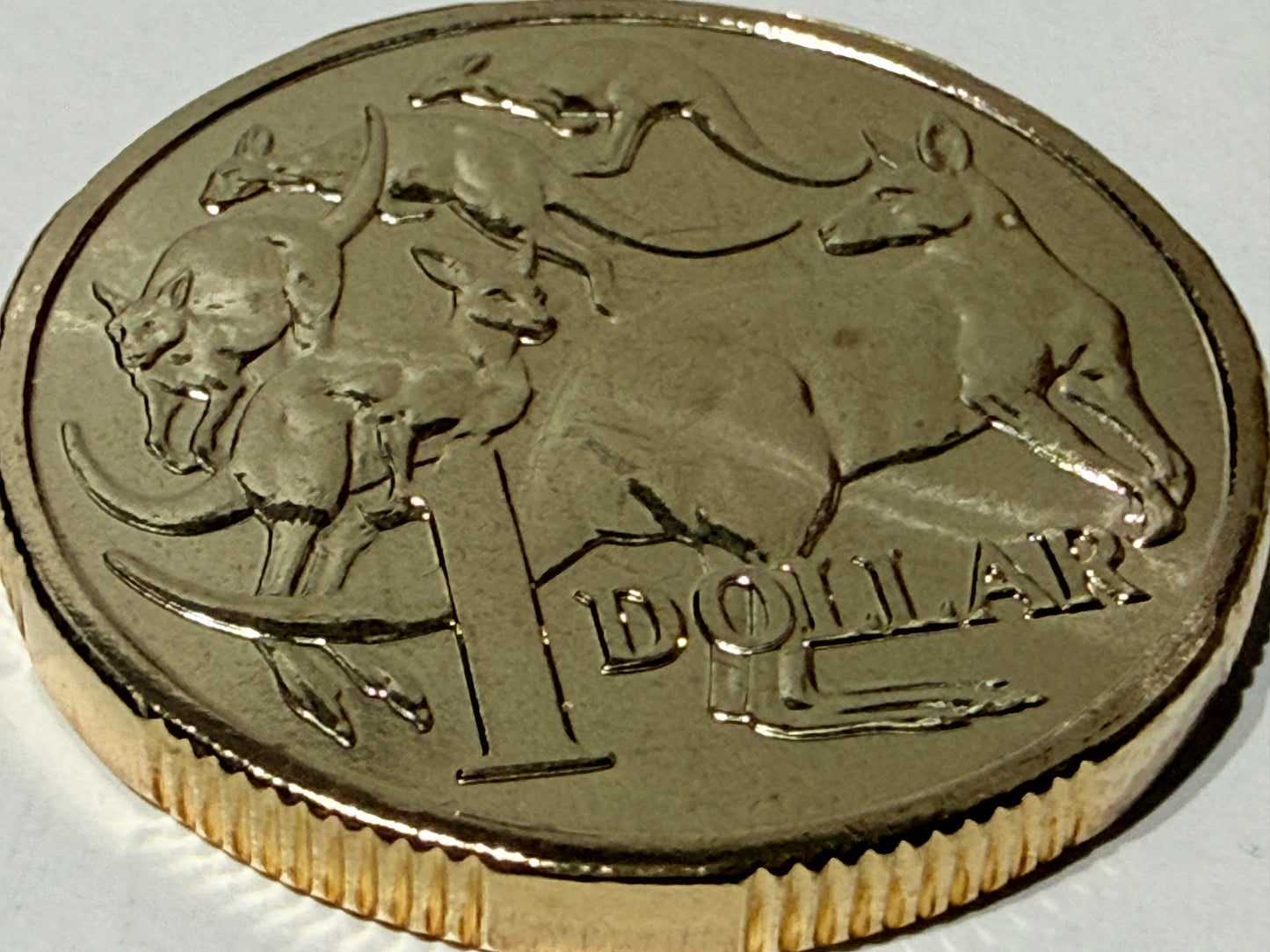 2025 $1 Mob of Roos Coin - Uncirculated - One Dollar - comes in 2x2