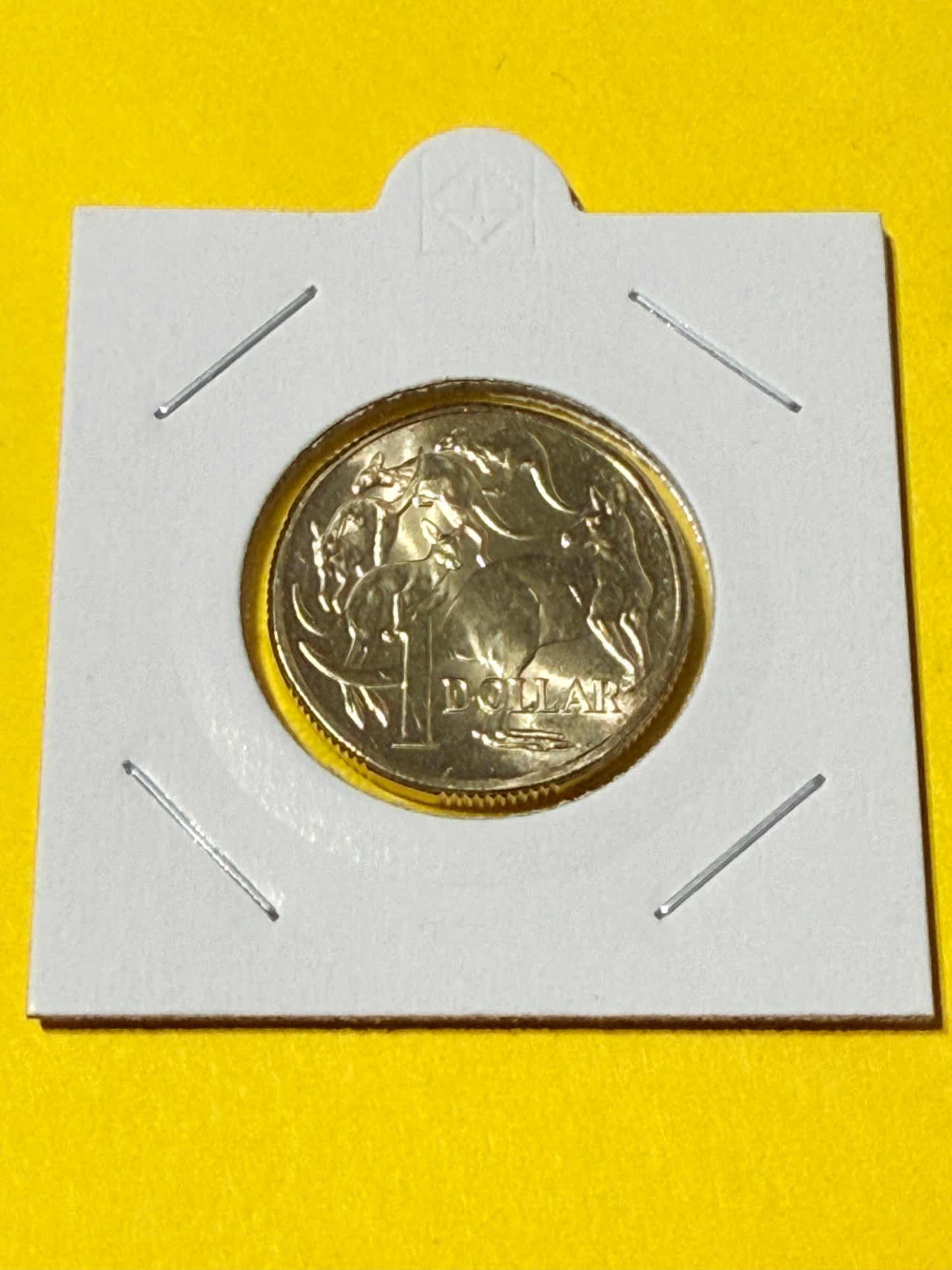 2025 $1 Mob of Roos Coin - Uncirculated - One Dollar - comes in 2x2