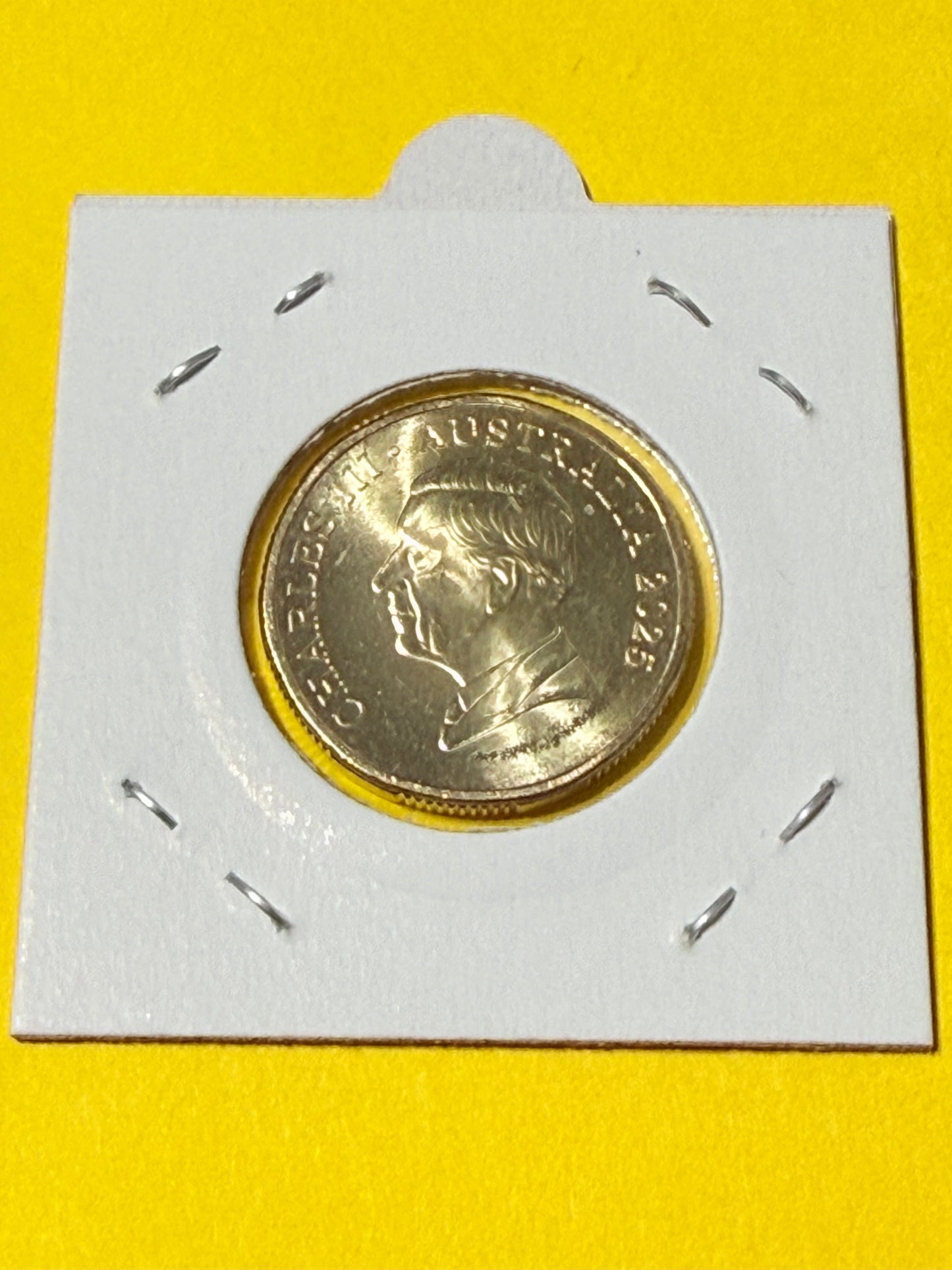 2025 $1 Mob of Roos Coin - Uncirculated - One Dollar - comes in 2x2