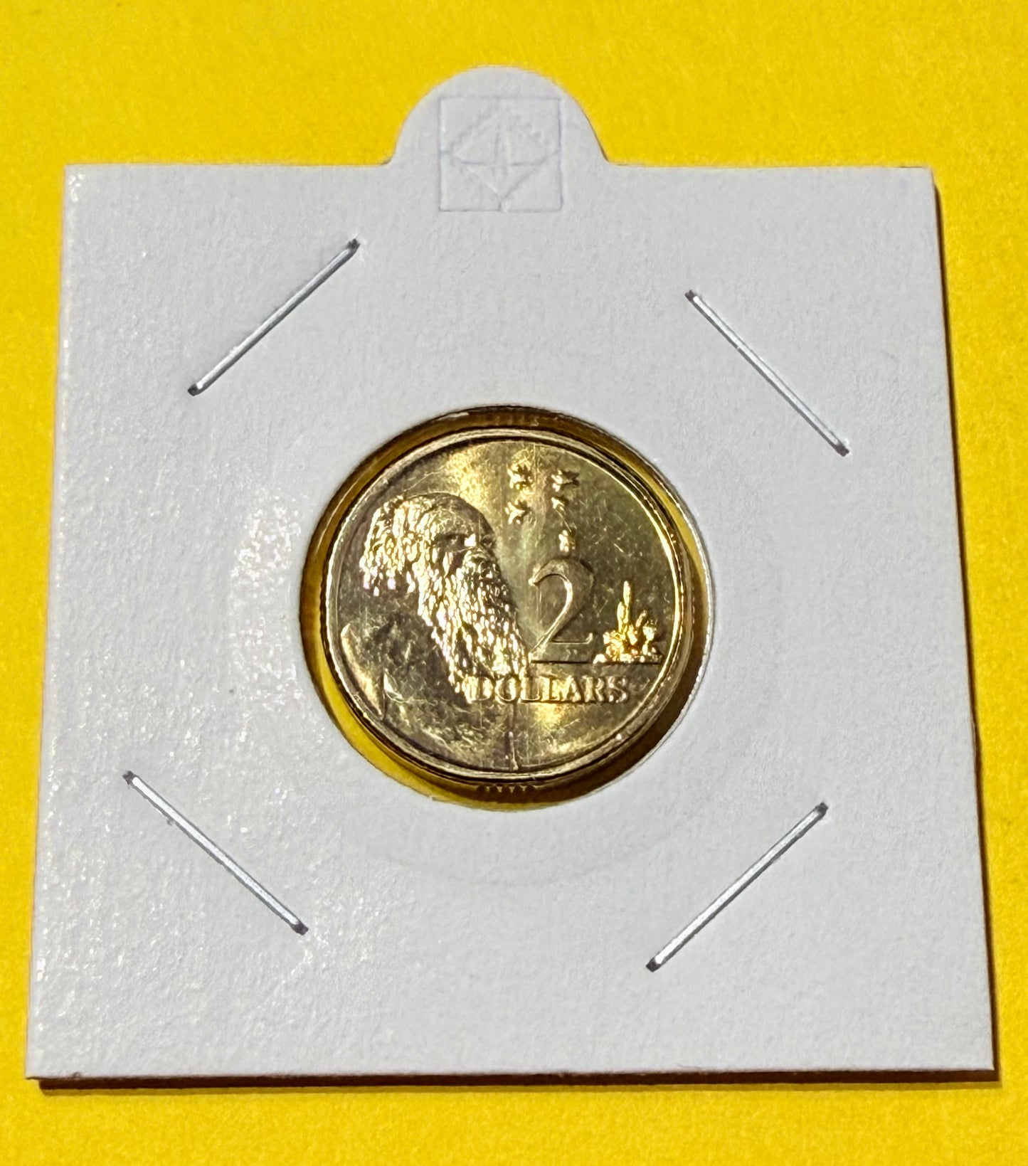 2023 $2 Elder Coin - Choice Uncirculated - mint set only coin - comes in 2x2
