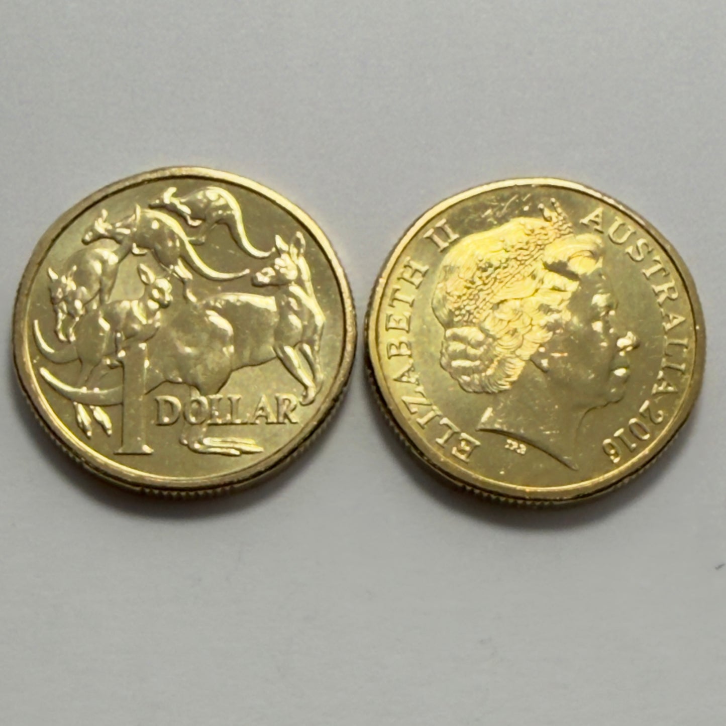 2016 $1 Coin - Uncirculated - Mob of Roos - One Dollar - Comes in 2x2
