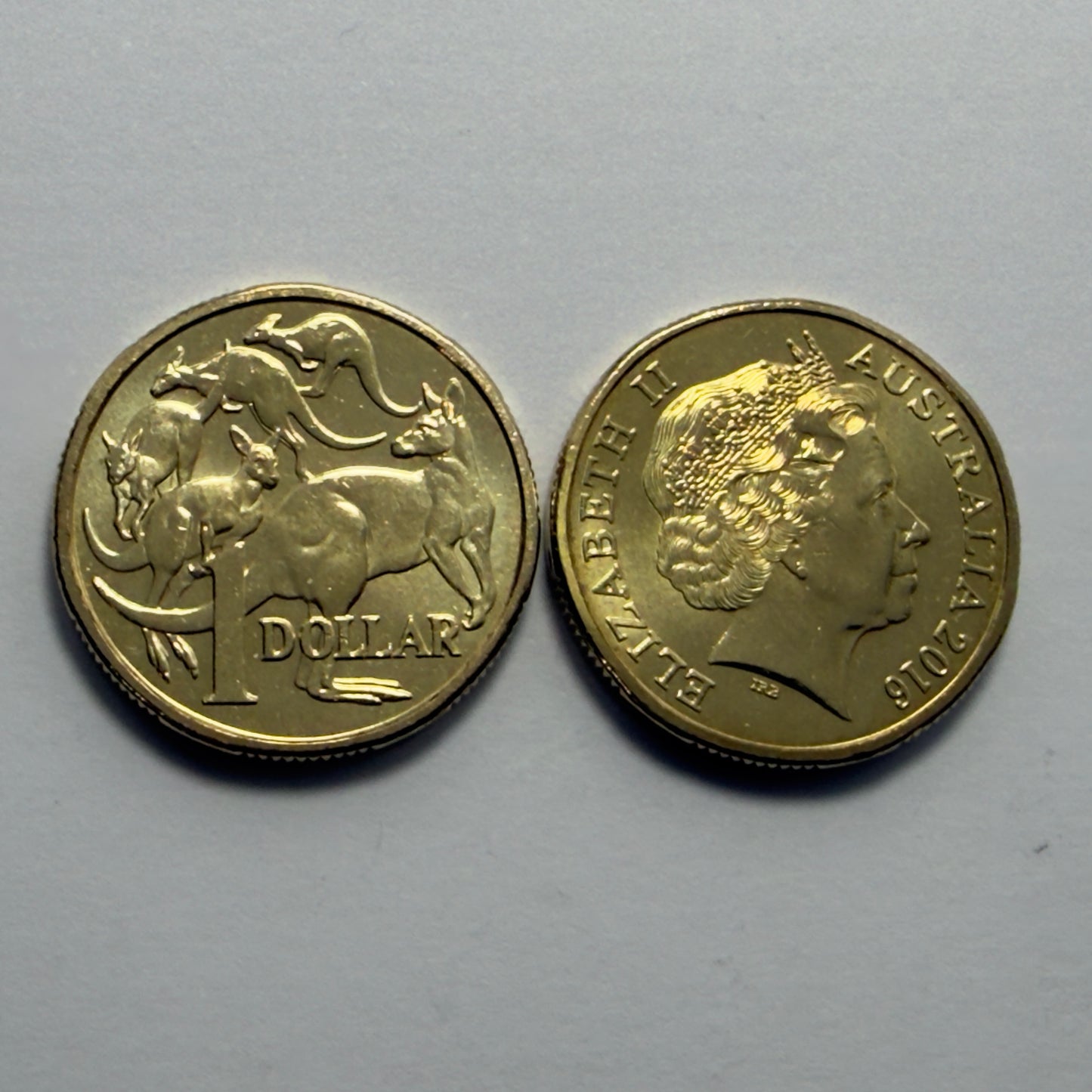 2016 $1 Coin - Uncirculated - Mob of Roos - One Dollar - Comes in 2x2