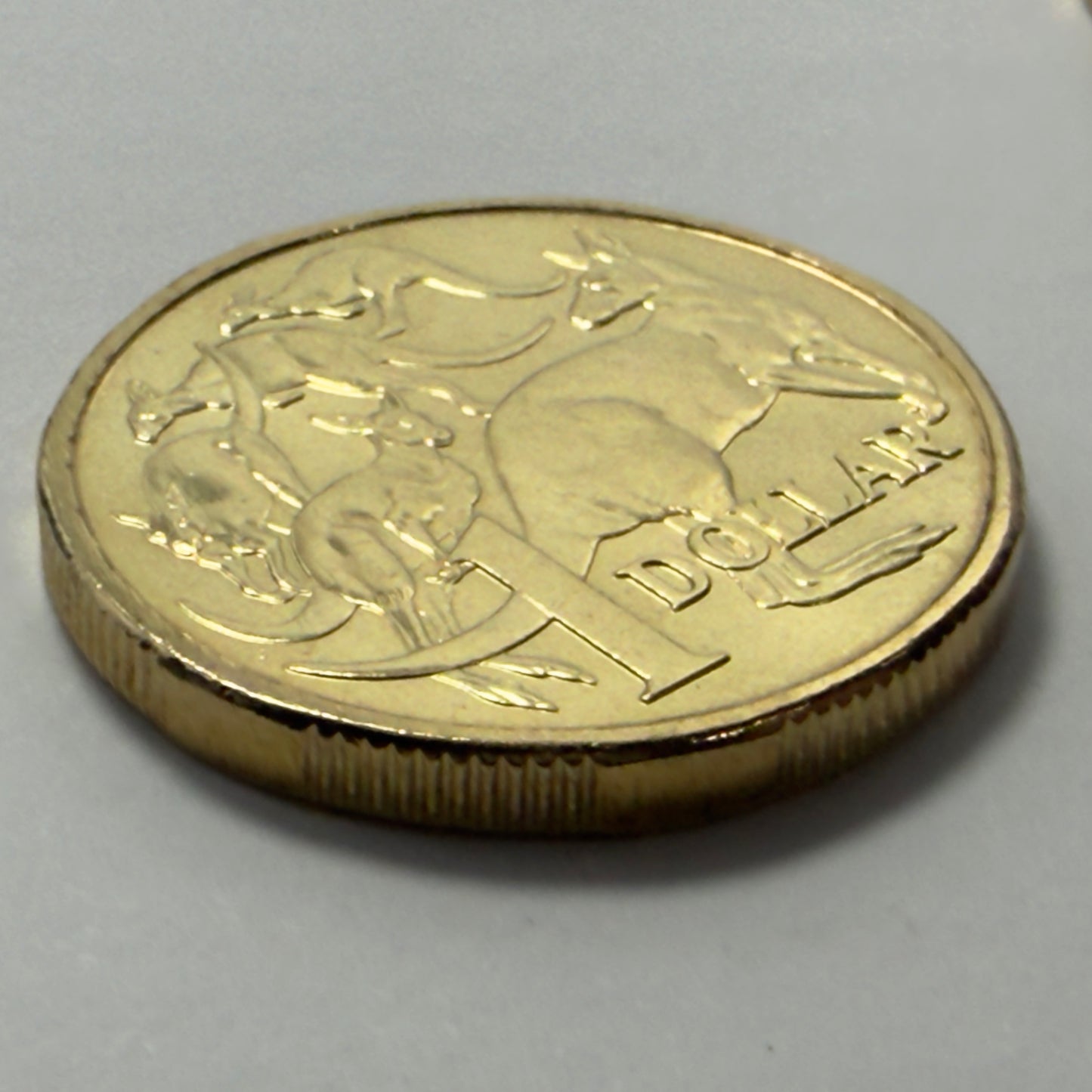 2016 $1 Coin - Uncirculated - Mob of Roos - One Dollar - Comes in 2x2