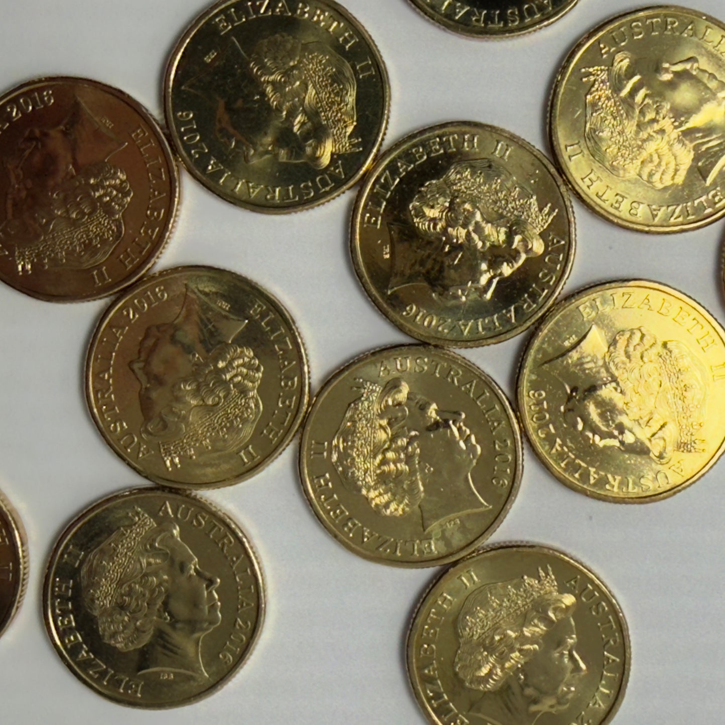 2016 $1 Coin - Uncirculated - Mob of Roos - One Dollar - Comes in 2x2