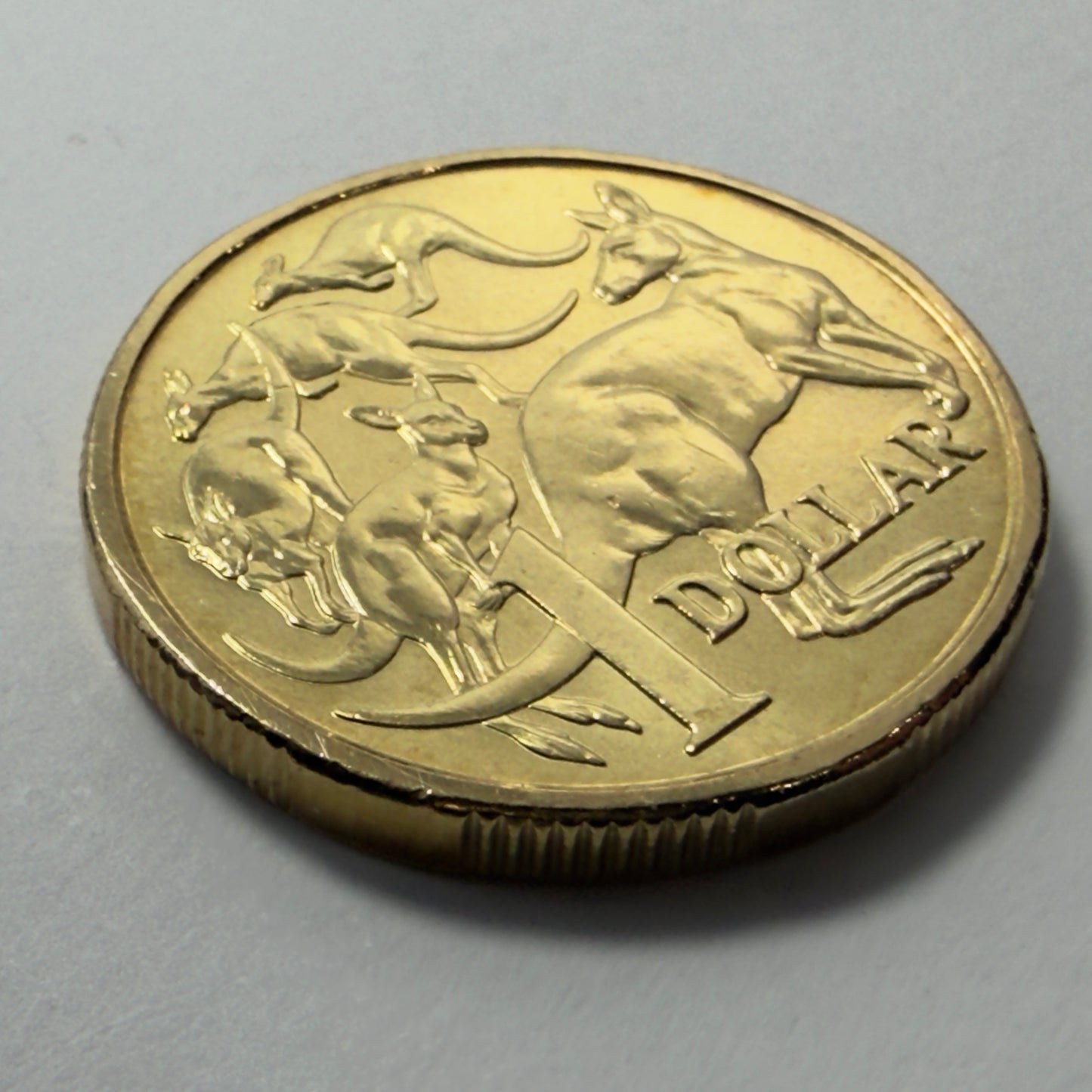 2016 $1 Coin - Uncirculated - Mob of Roos - One Dollar - Comes in 2x2