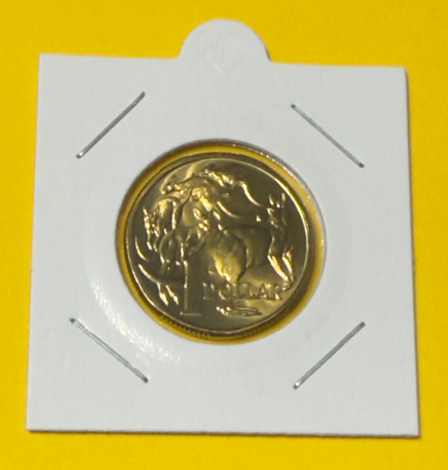 1995 $1 Coin - Choice Uncirculated - One Dollar - Ex MINT SET Coin - in 2x2