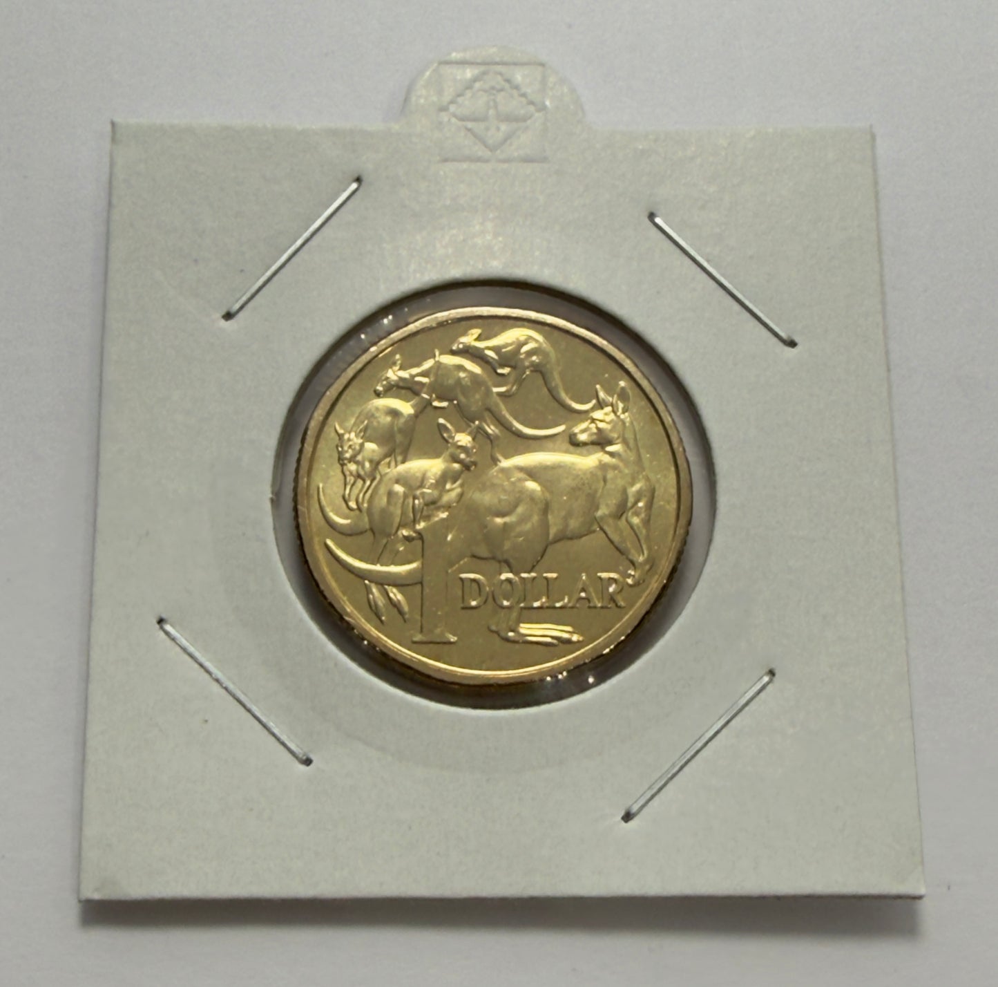 2016 $1 Coin - Uncirculated - Mob of Roos - One Dollar - Comes in 2x2