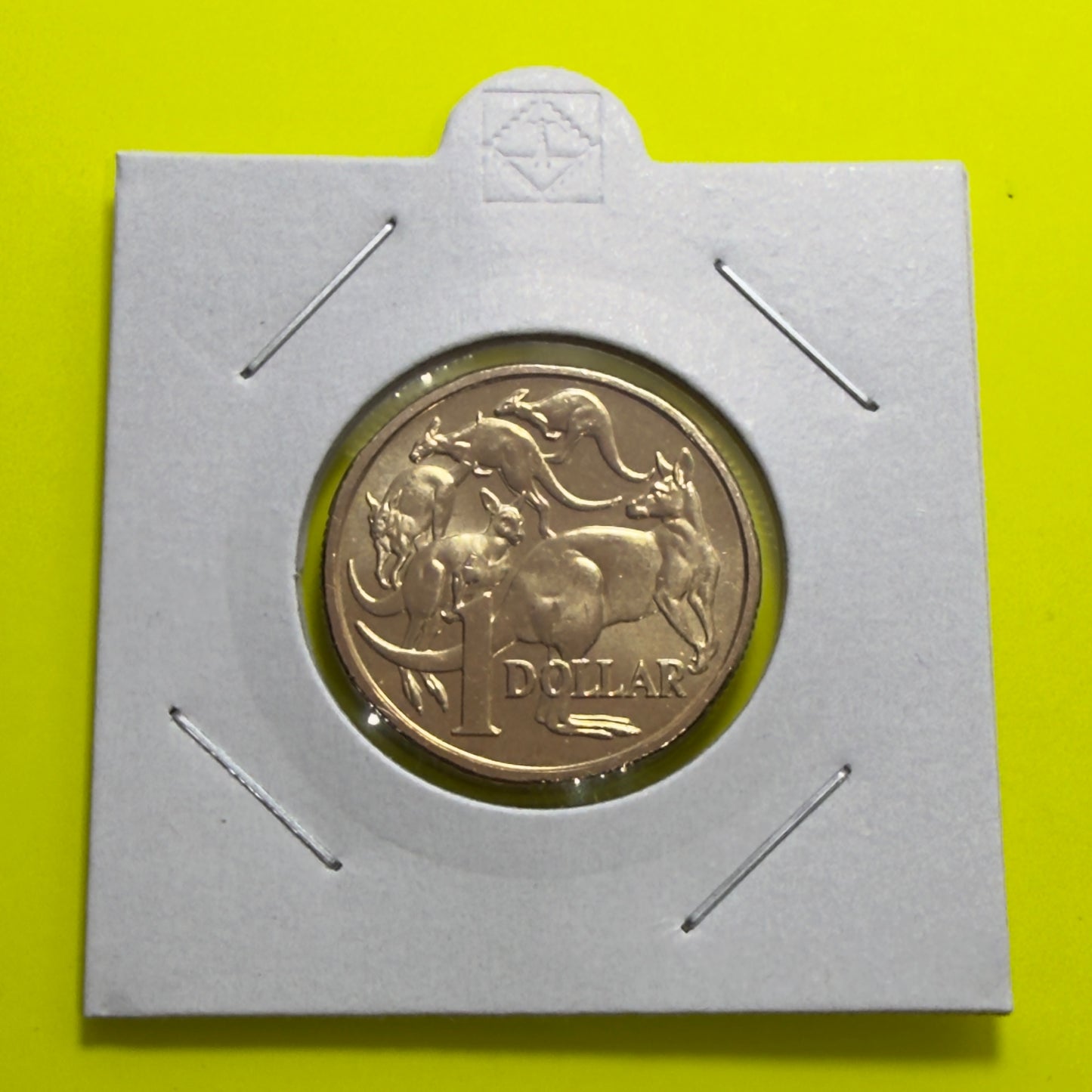 2016 $1 Coin - Uncirculated - Mob of Roos - One Dollar - Comes in 2x2
